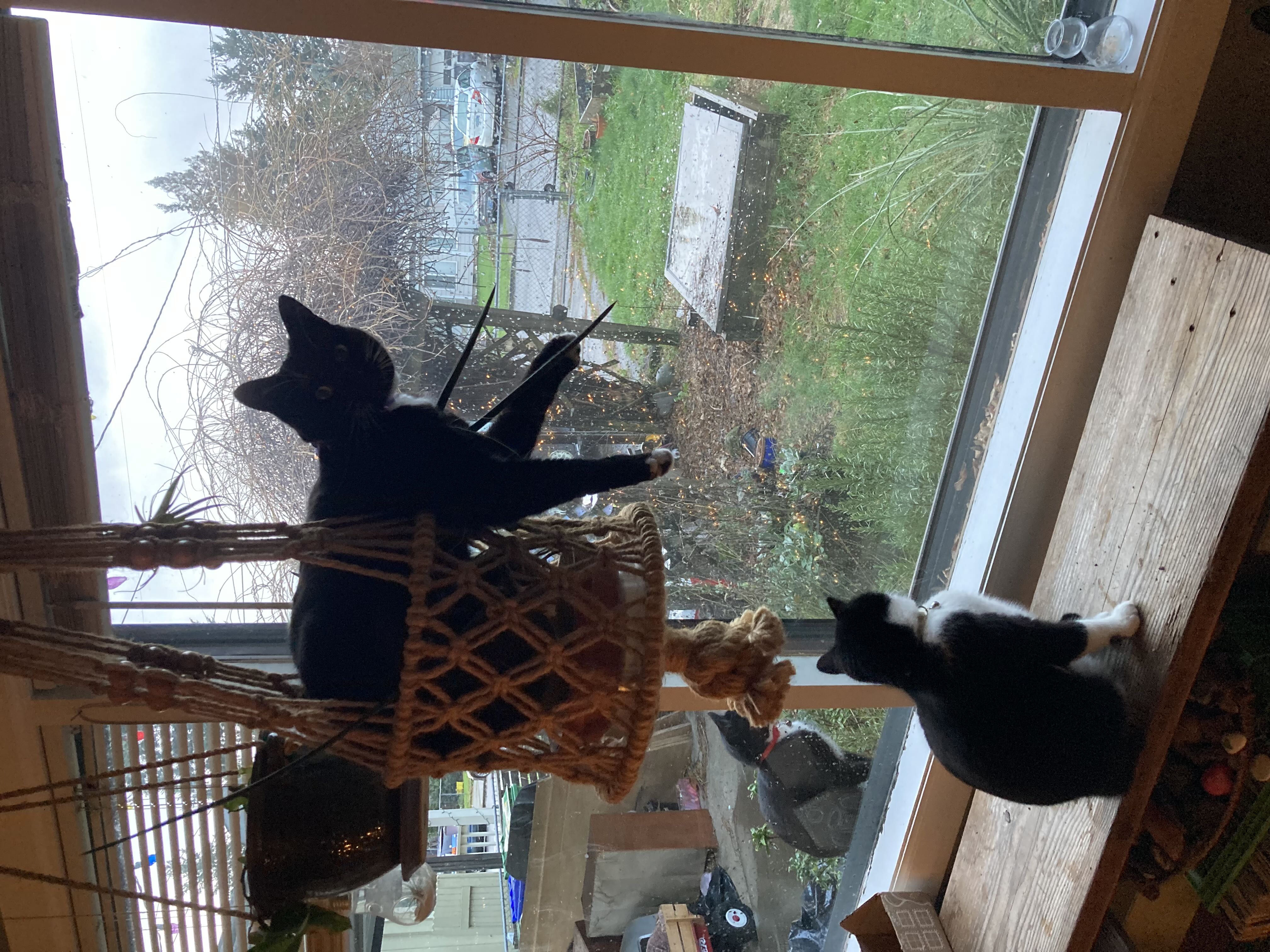 Photo from the post