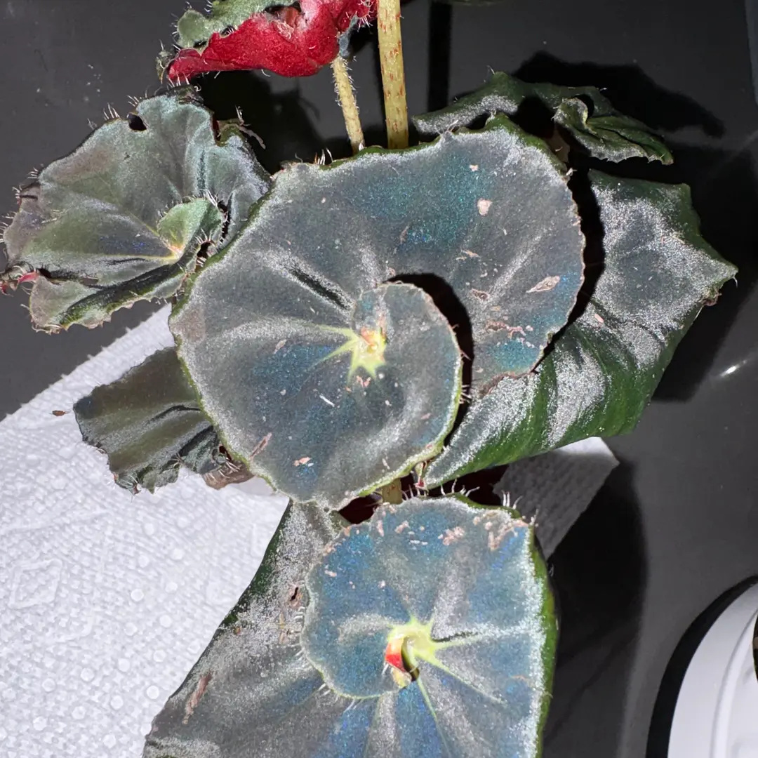 Photo from the post