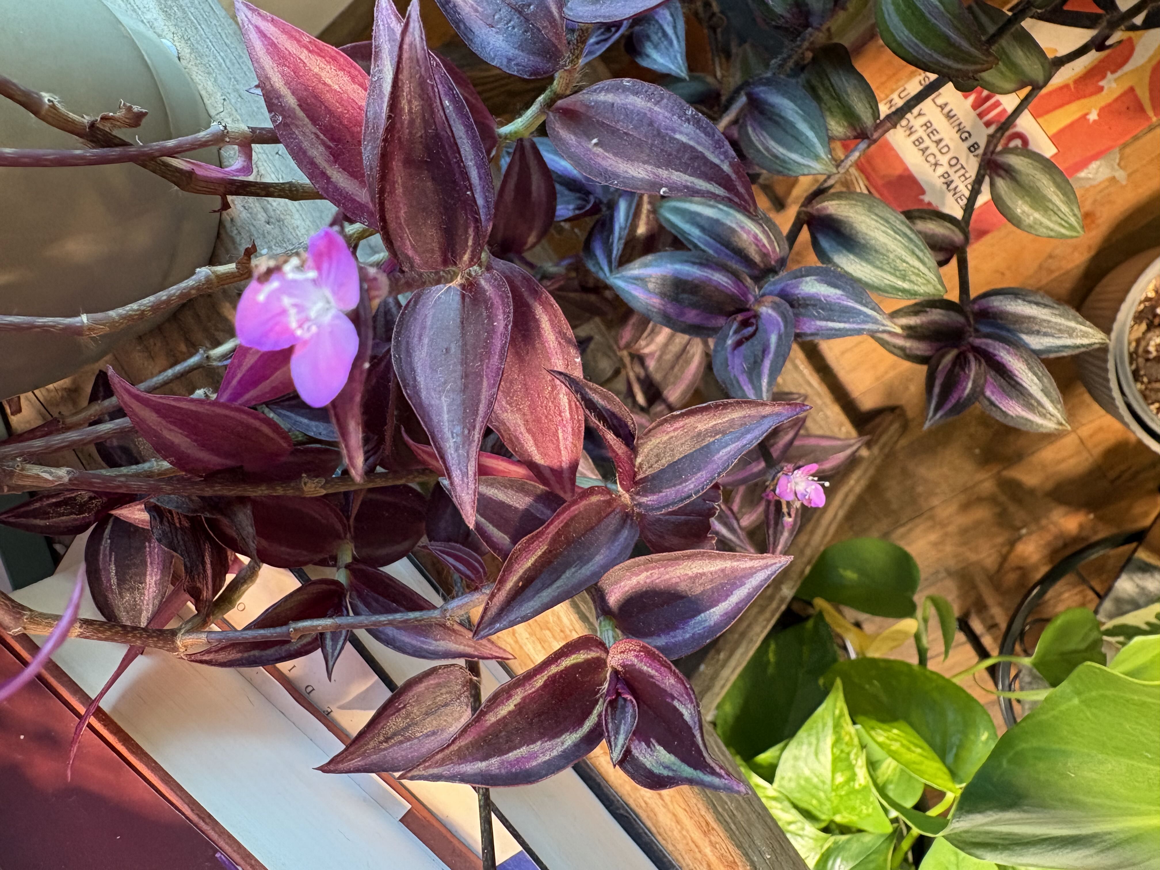 Photo from the post