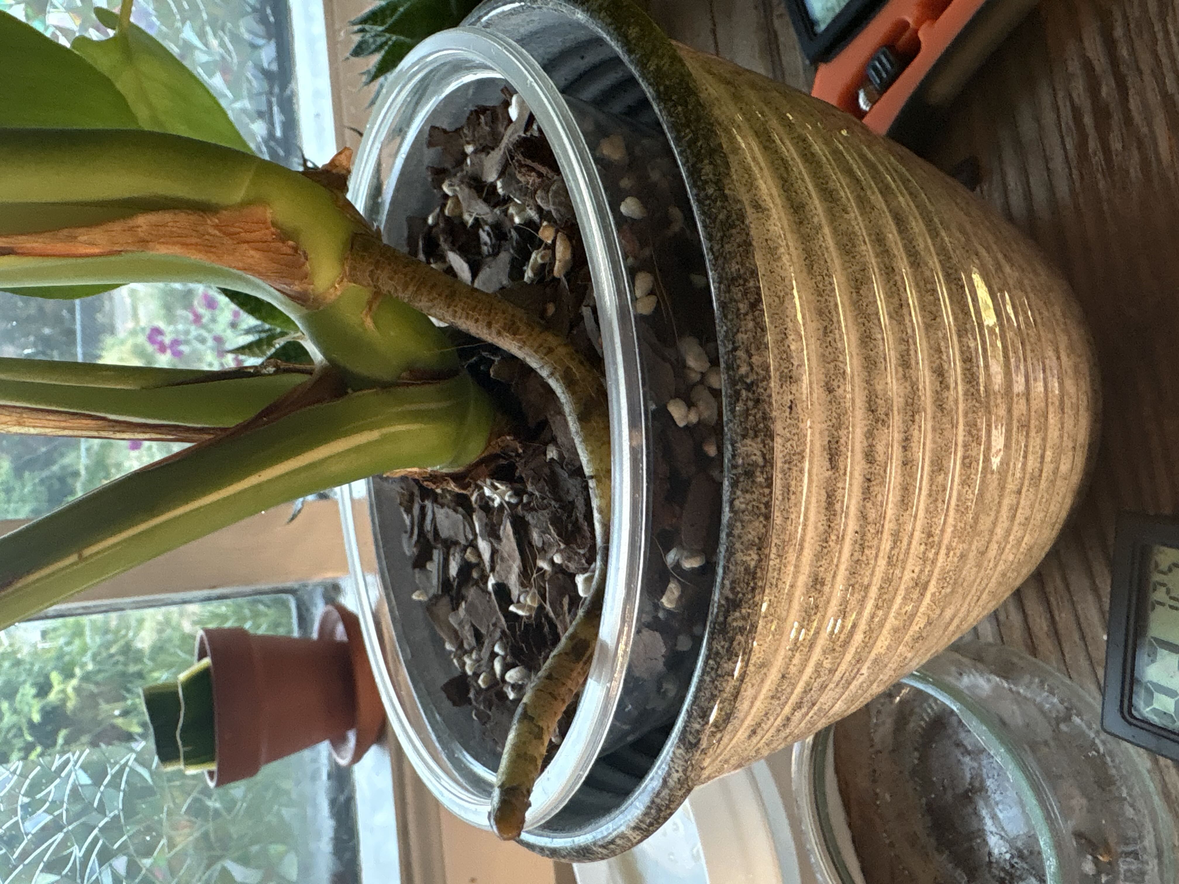 Photo from the post