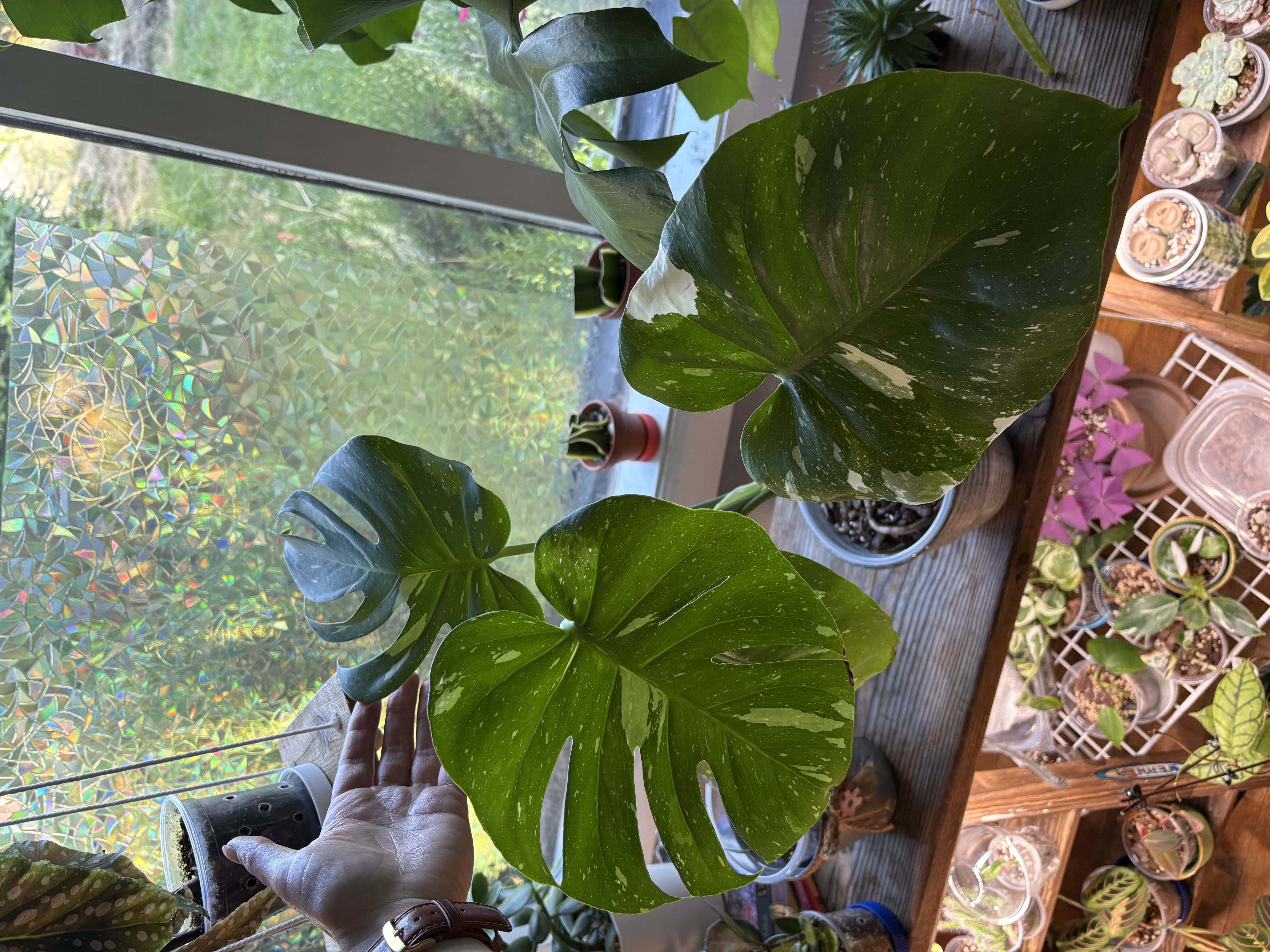 Photo from the post