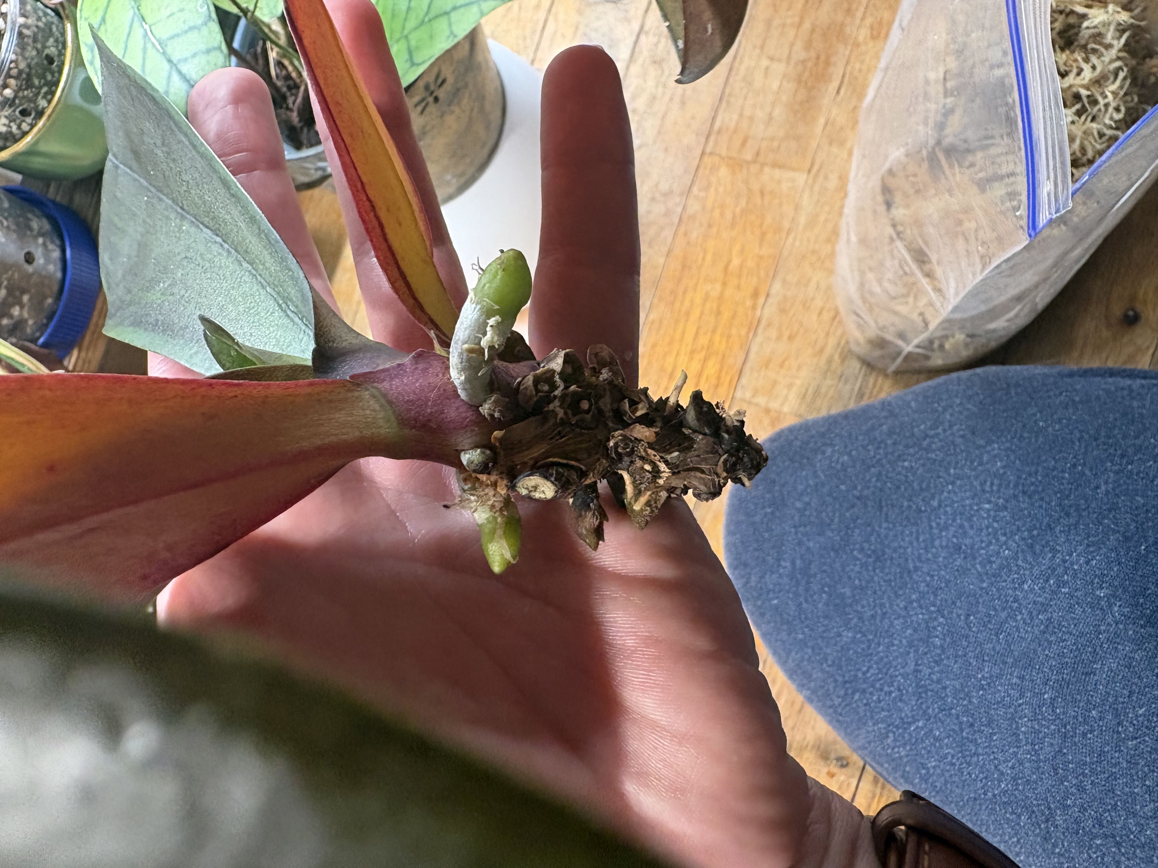 Photo from the post