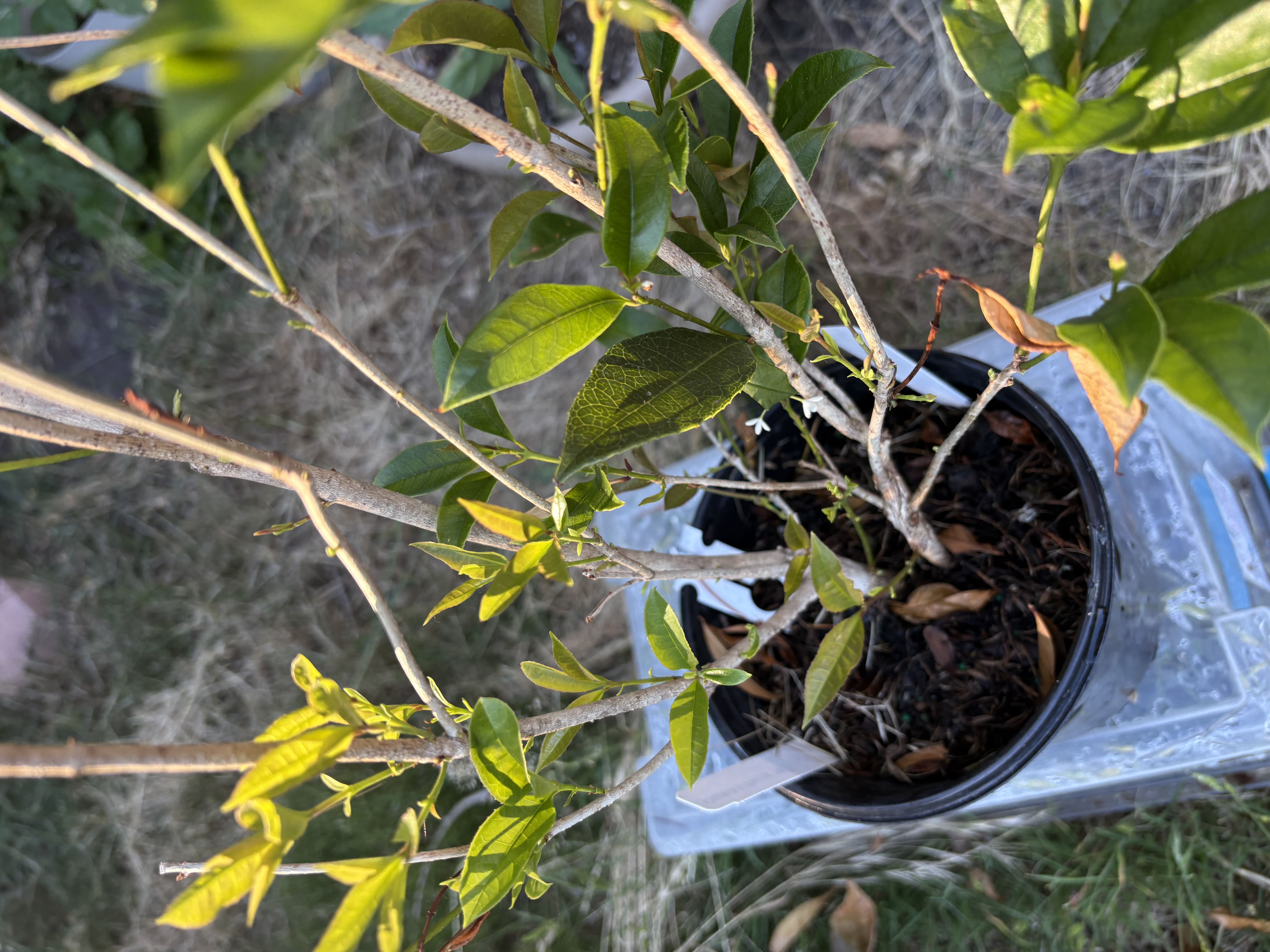 Photo from the post