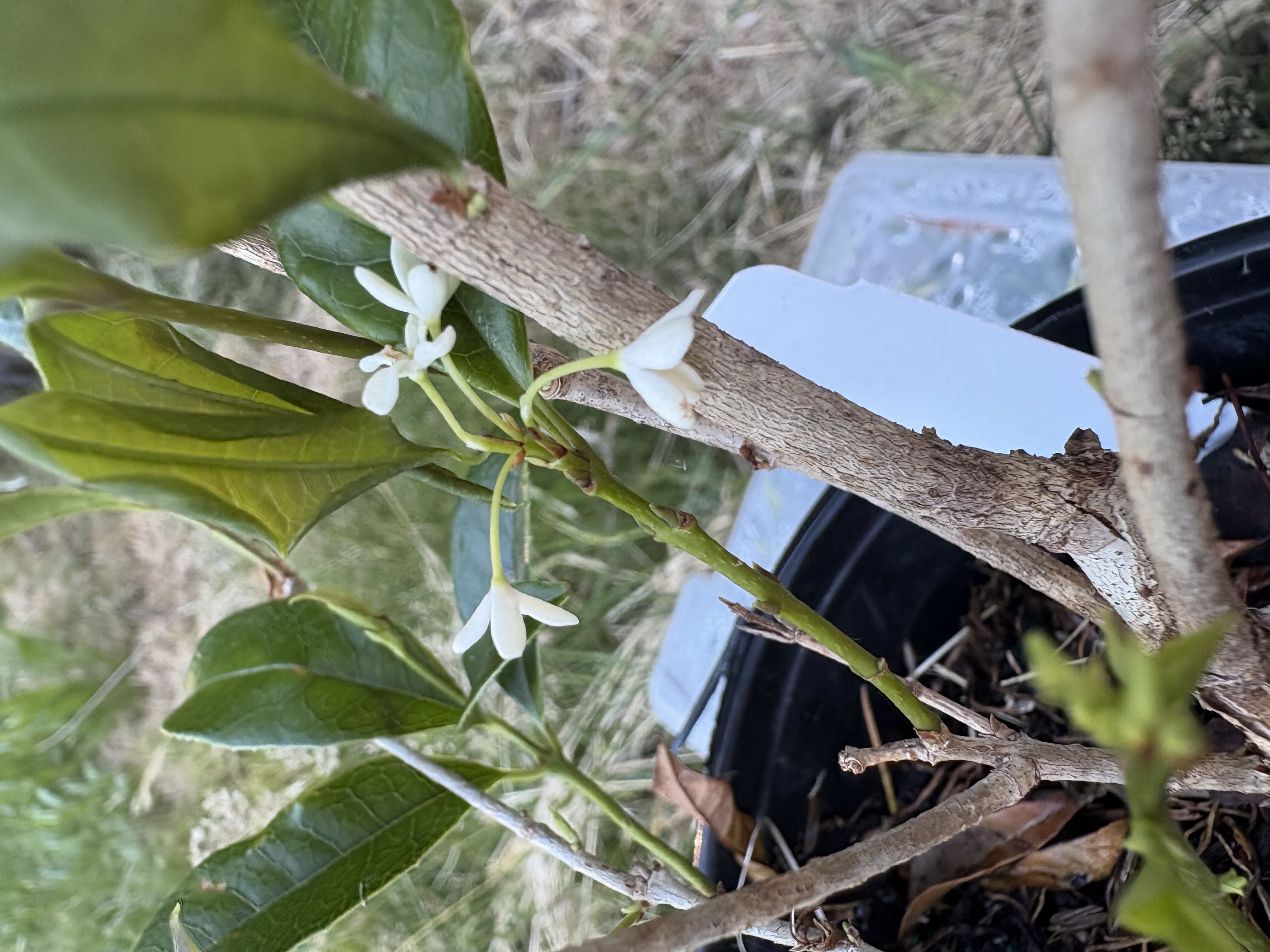 Photo from the post