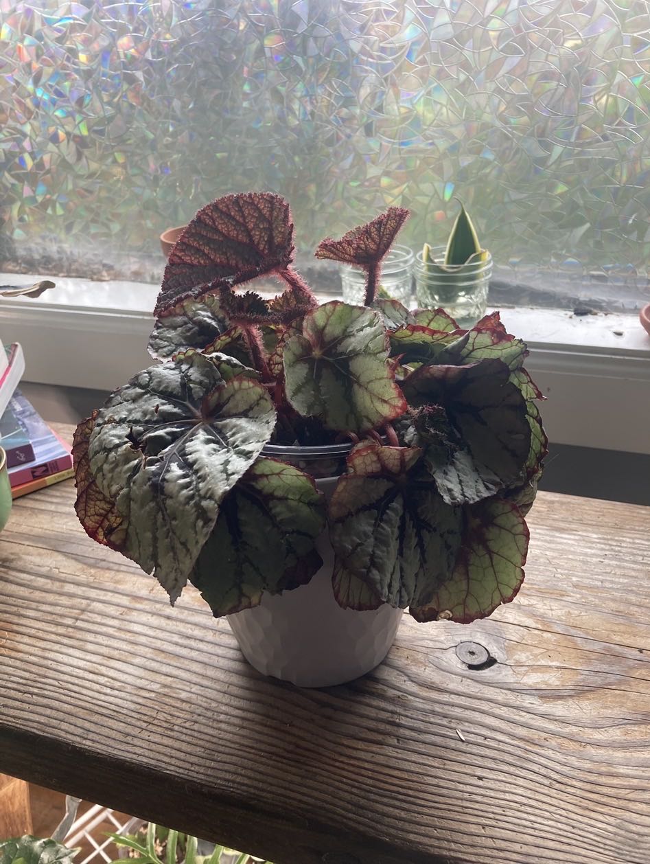 Photo from the post