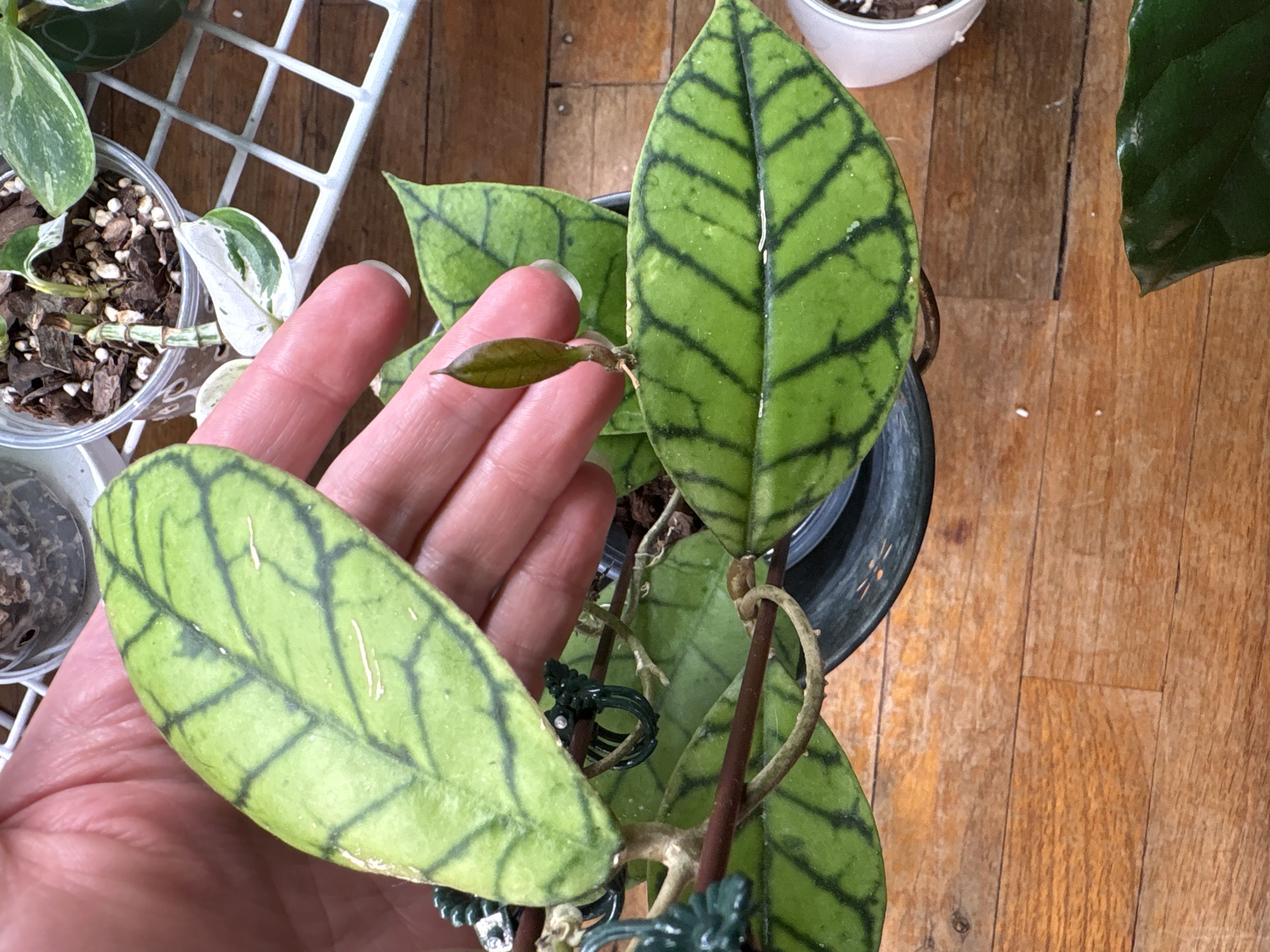 Photo from the post