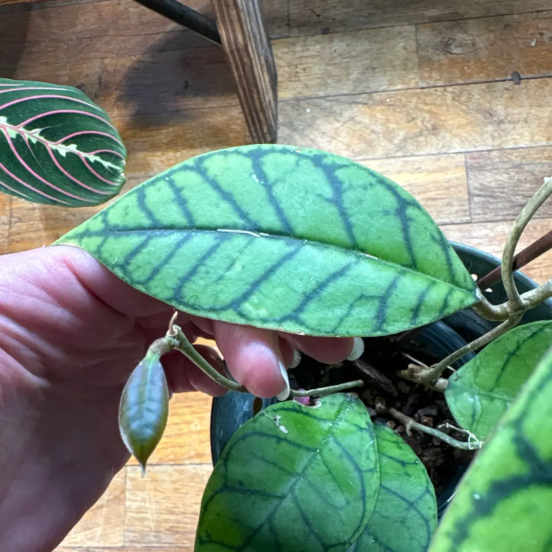 Photo from the post