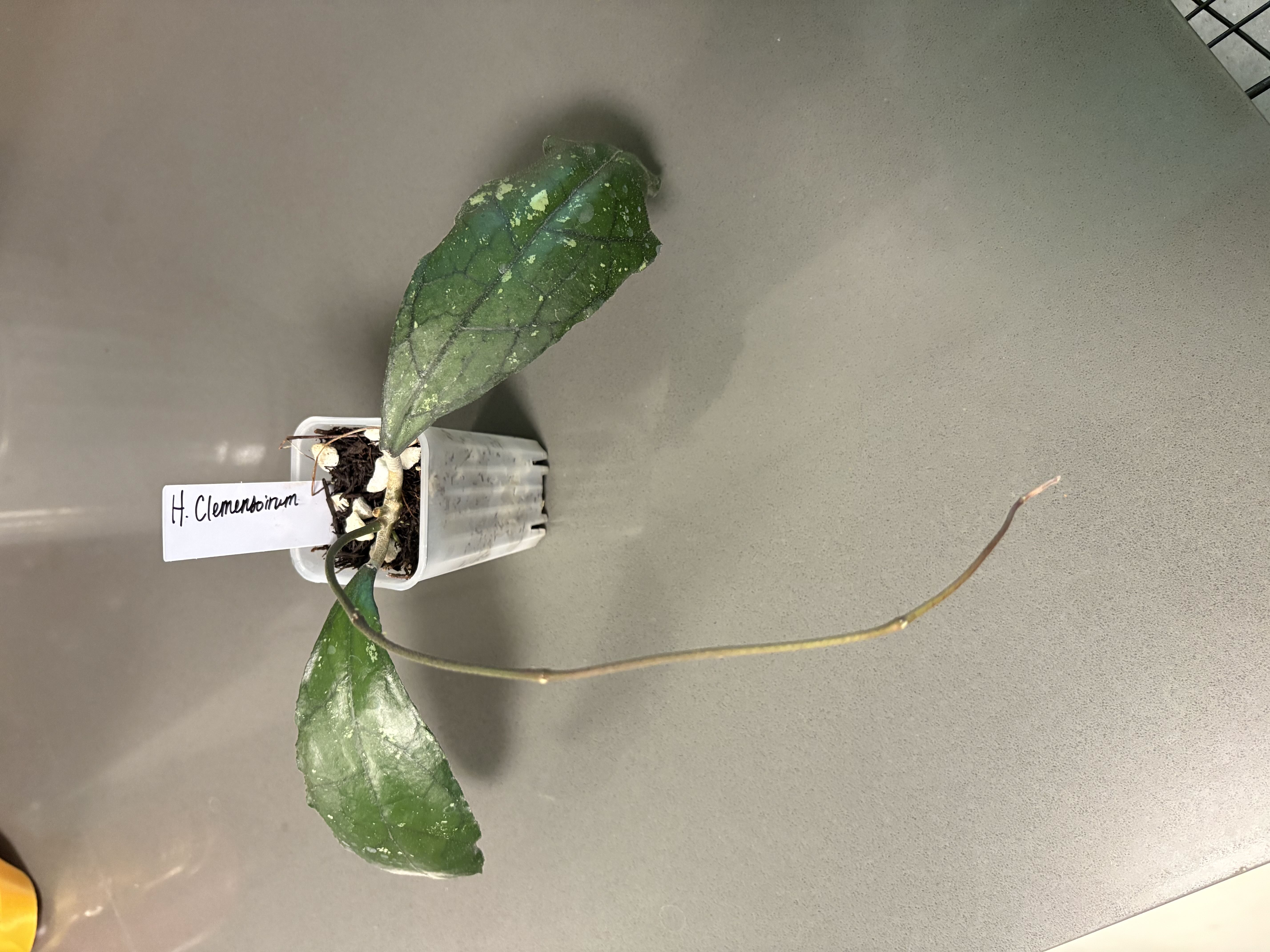 Photo from the post