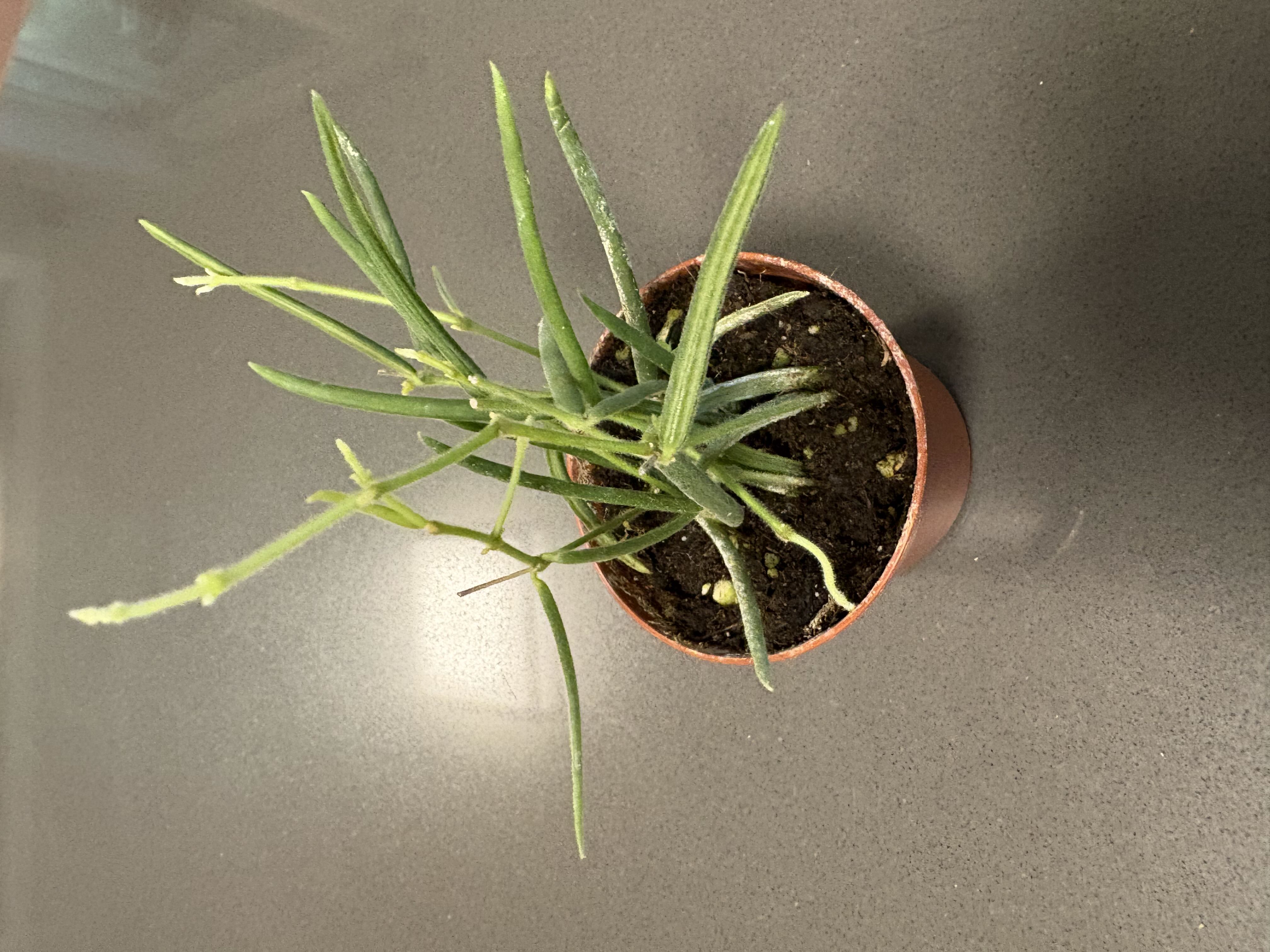 Photo from the post