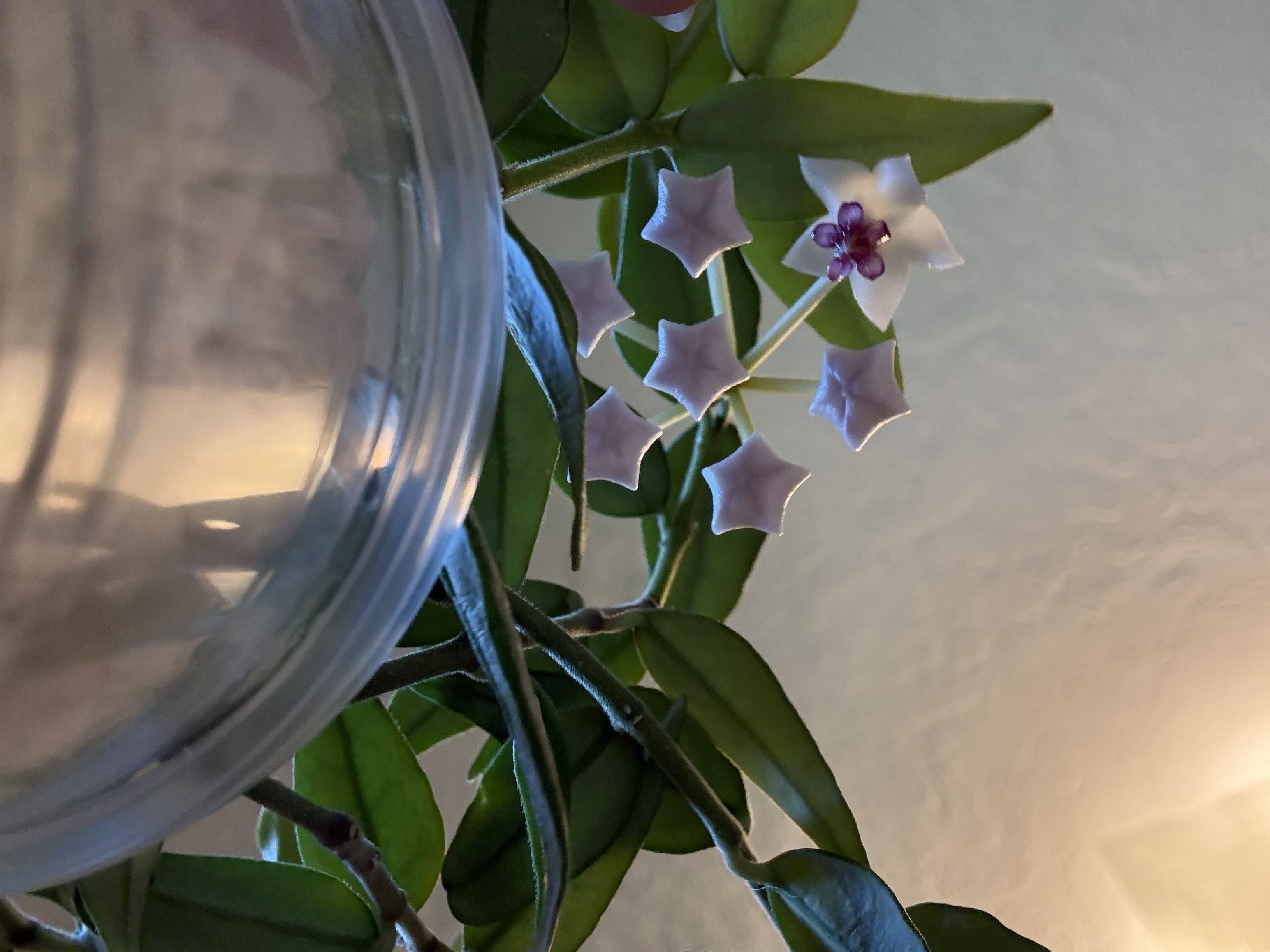 Photo from the post