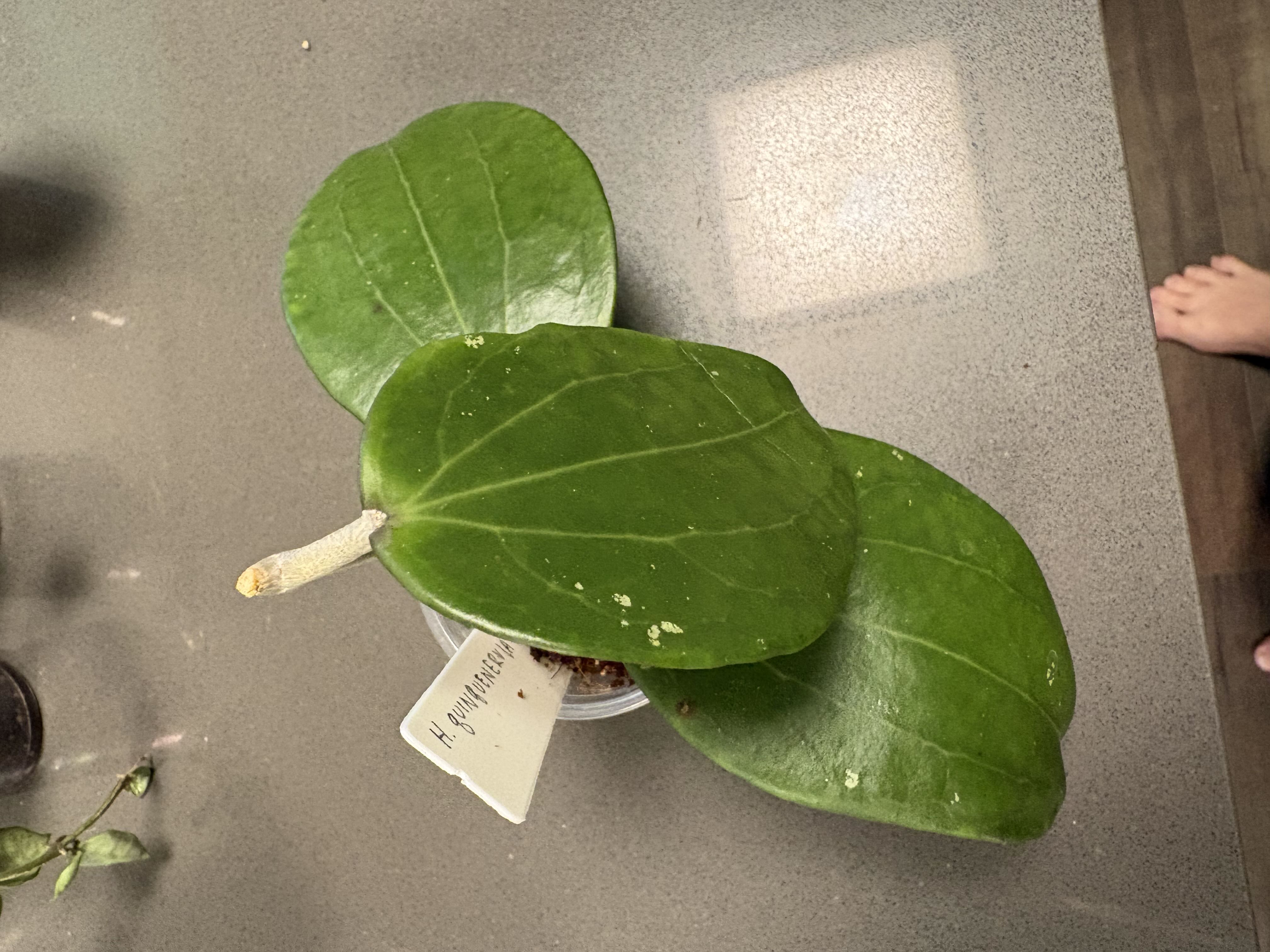 Photo from the post