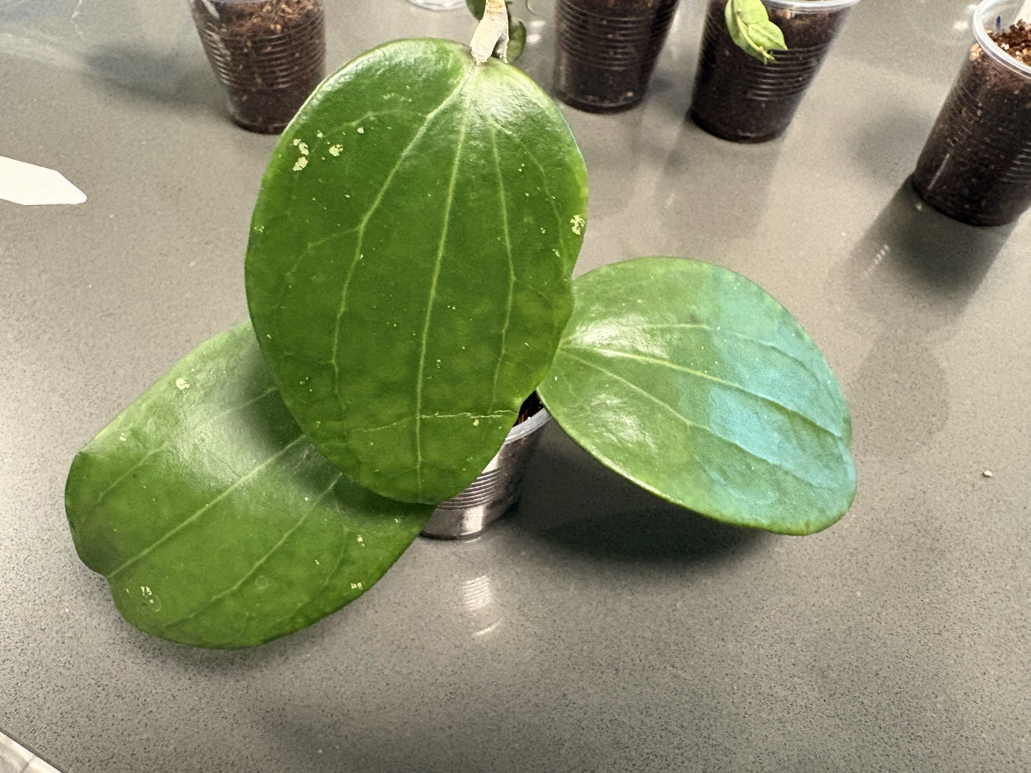 Photo from the post