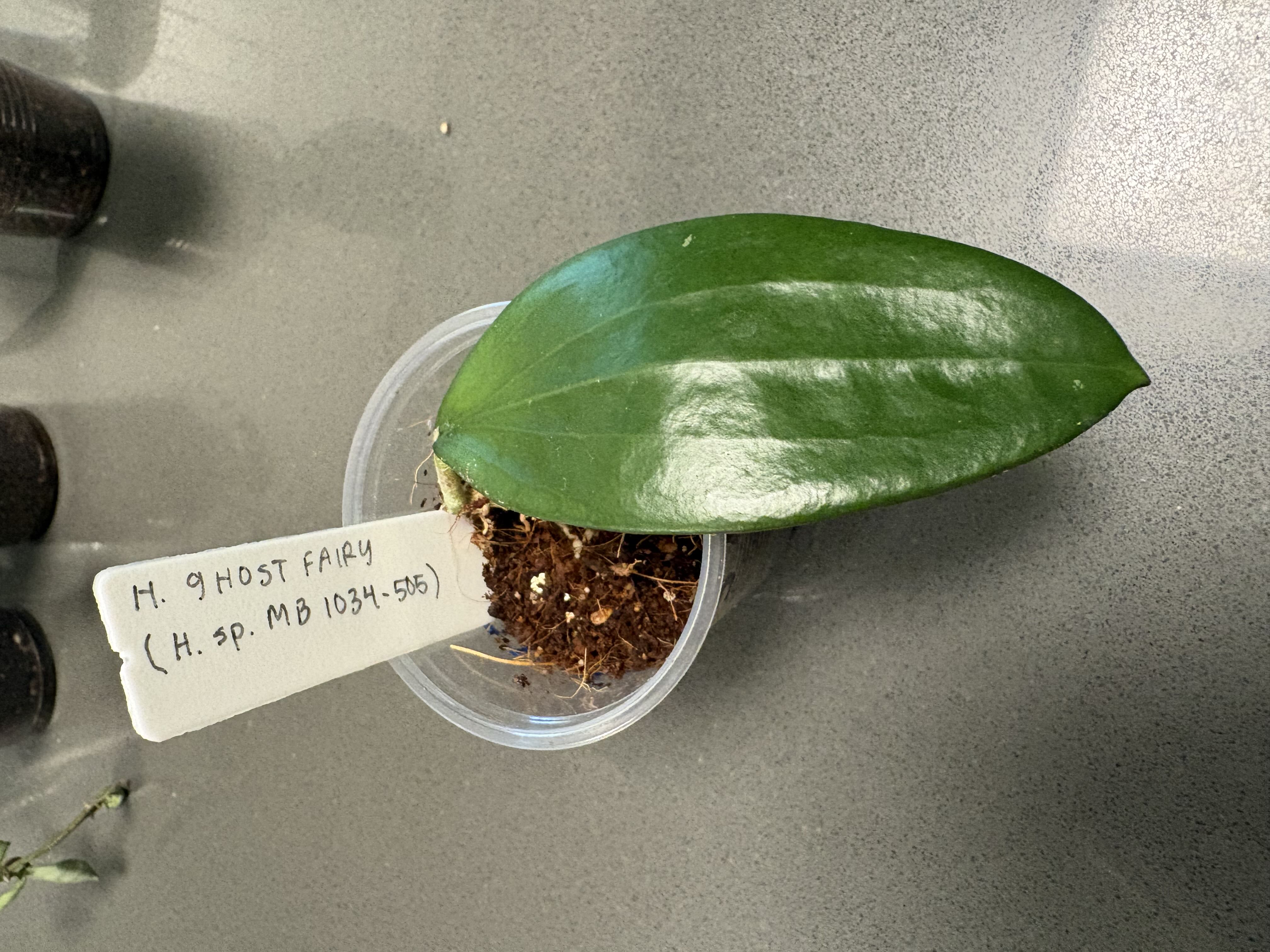 Photo from the post