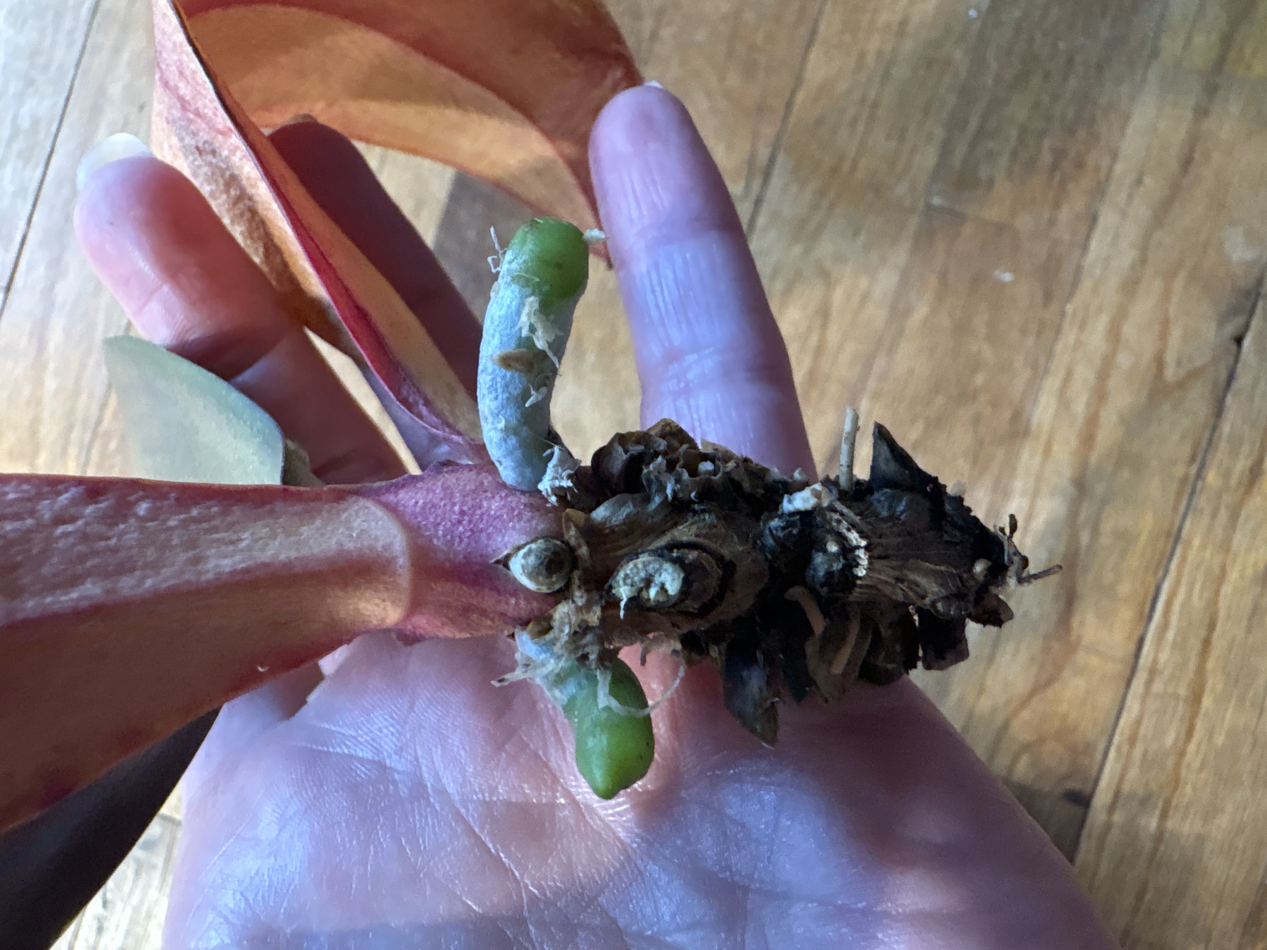 Photo from the post