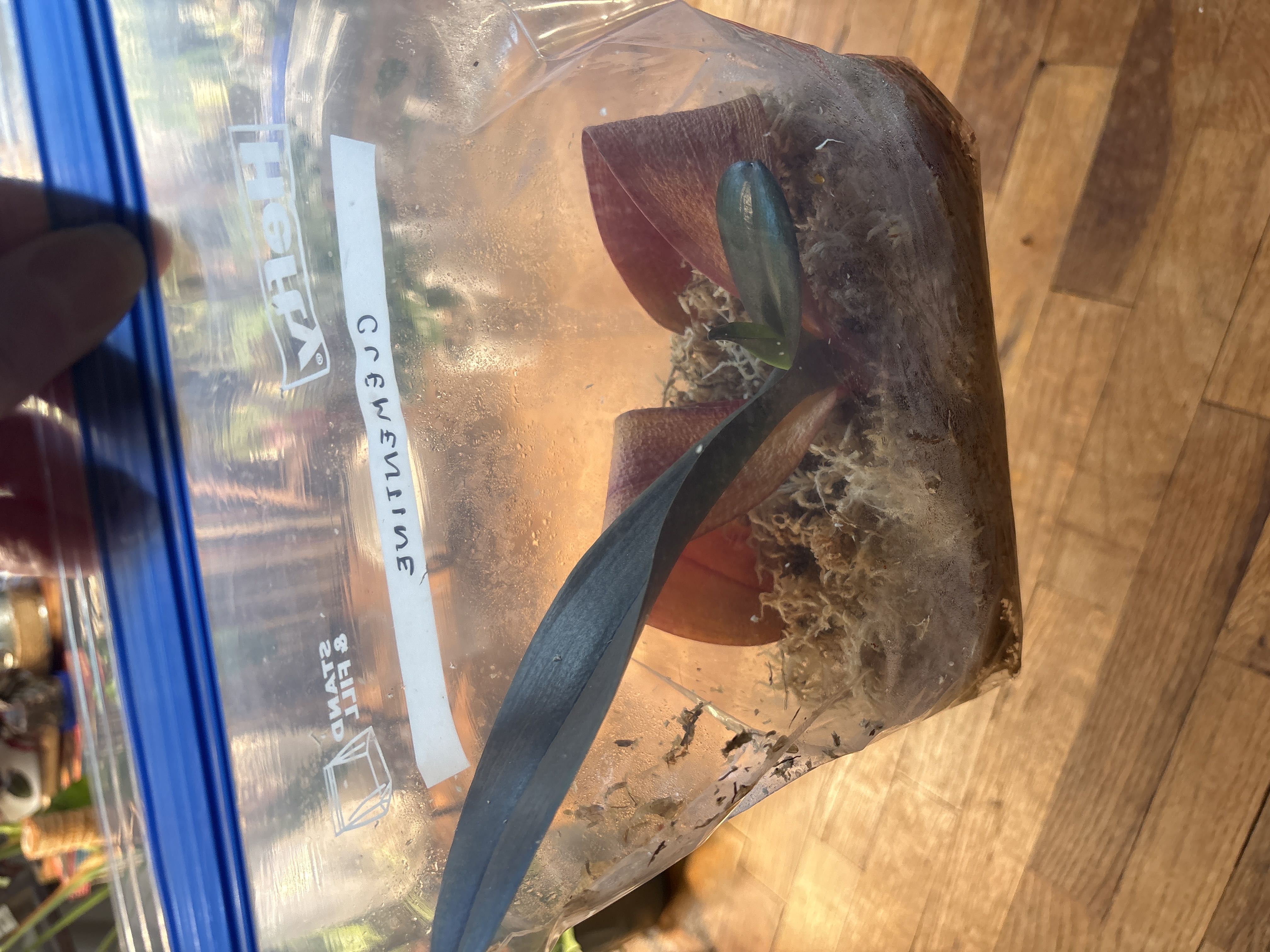 Photo from the post