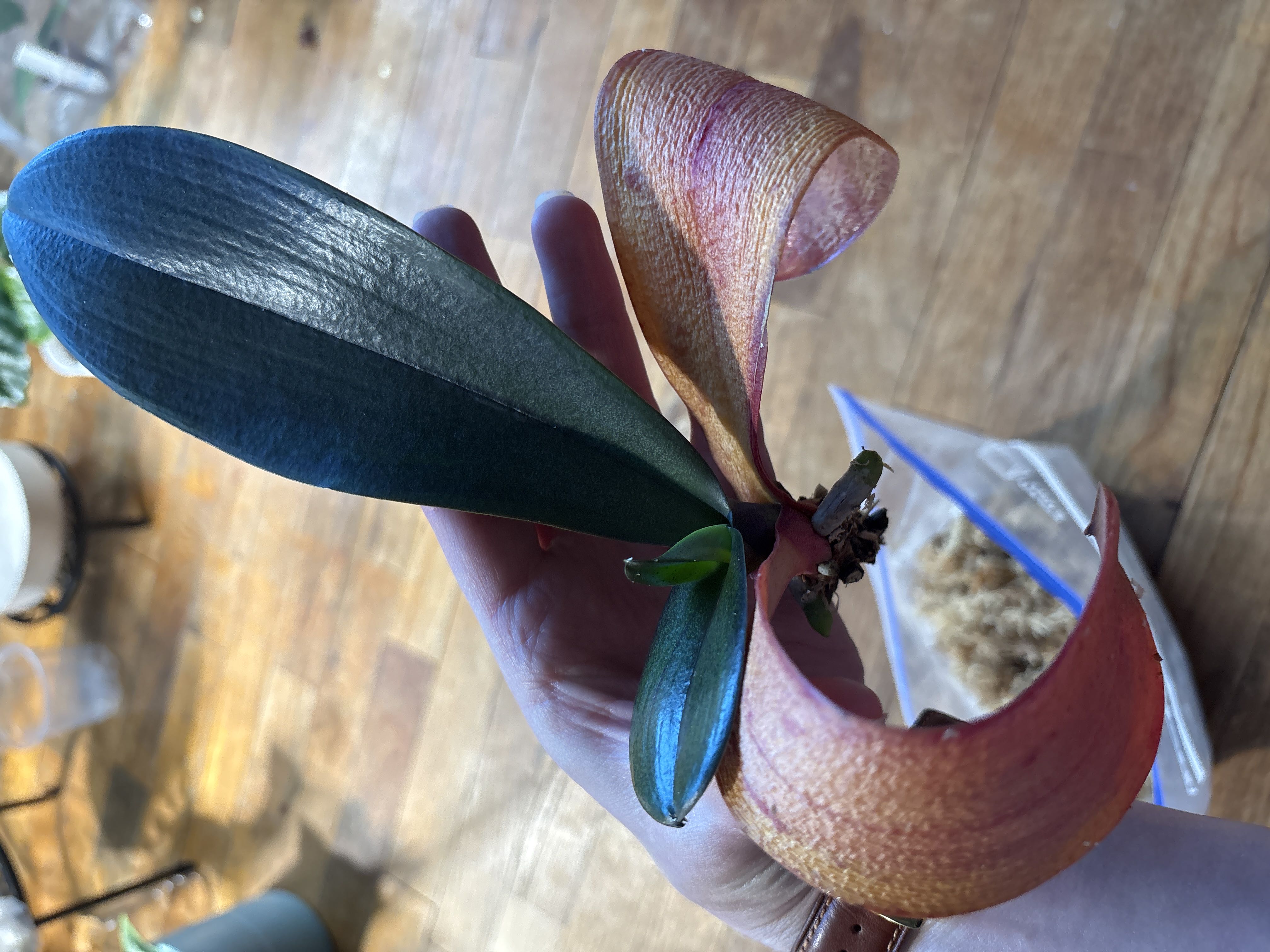 Photo from the post