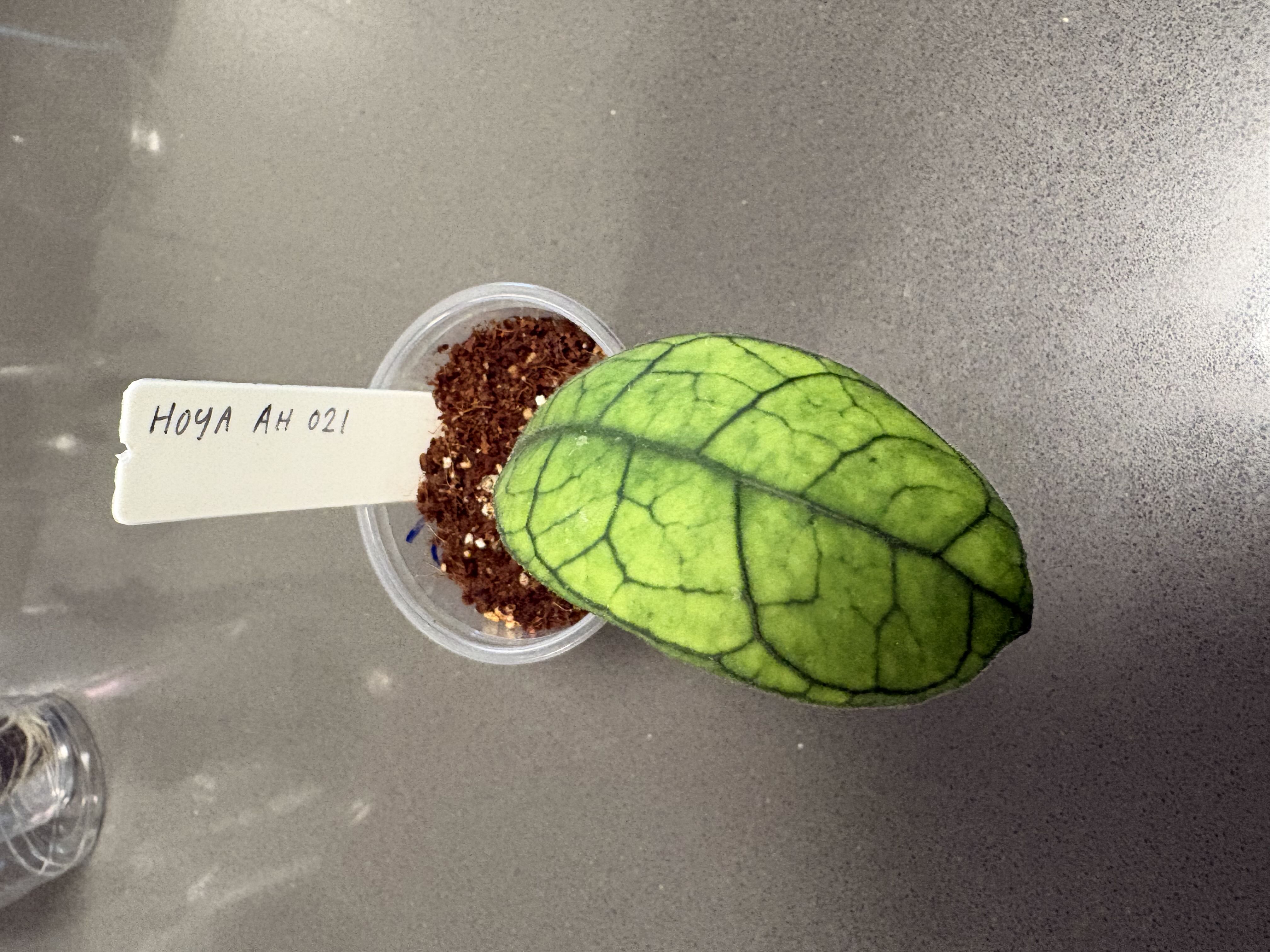 Photo from the post