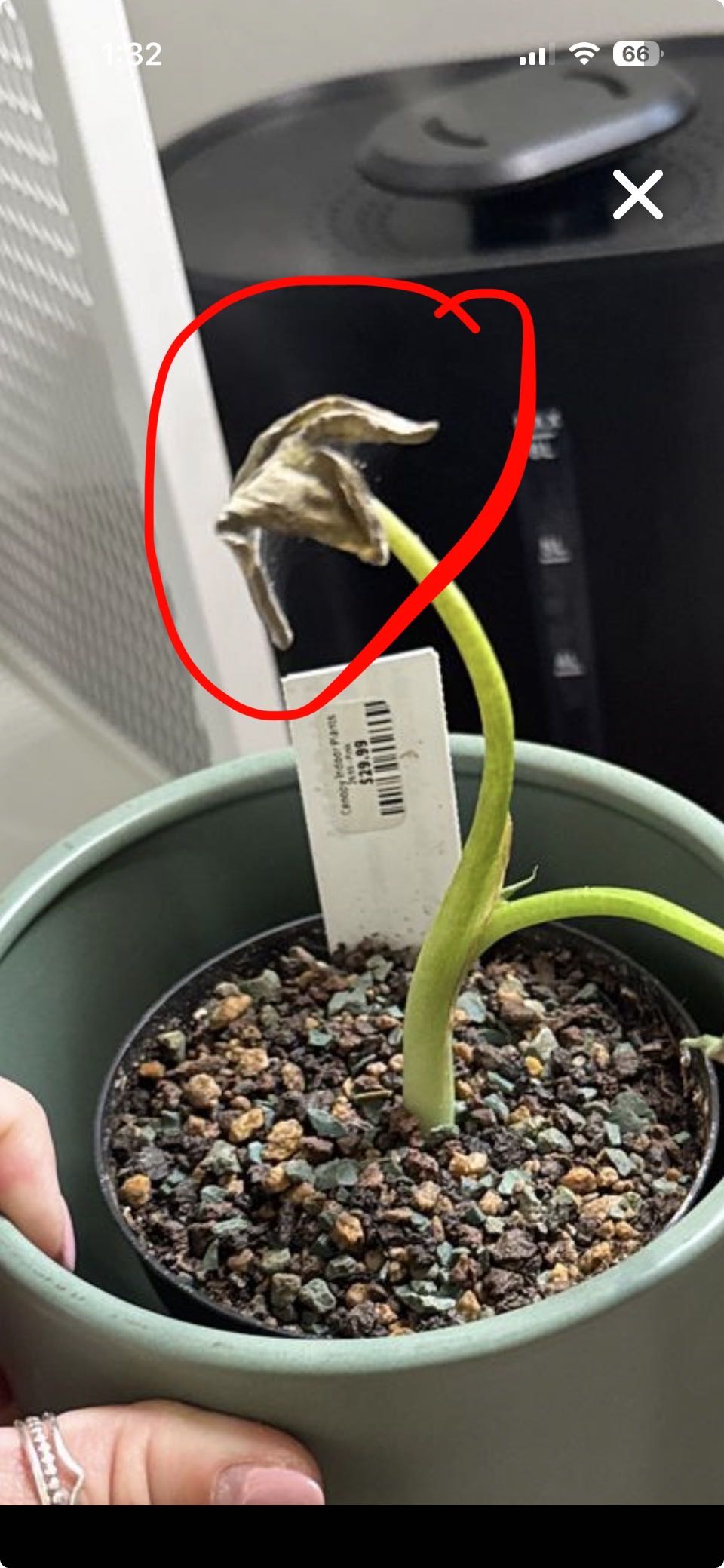 Photo from the post
