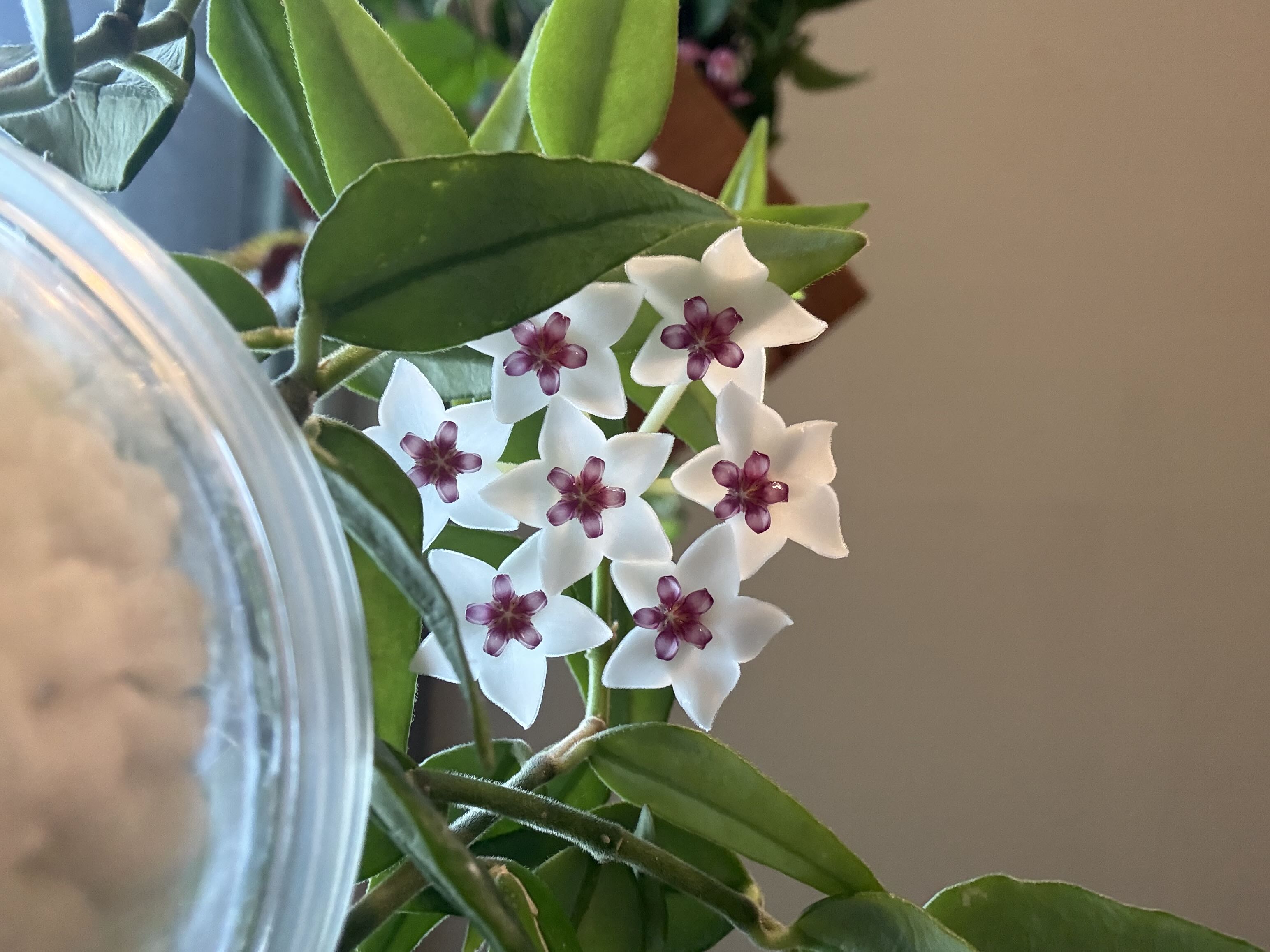Photo from the post