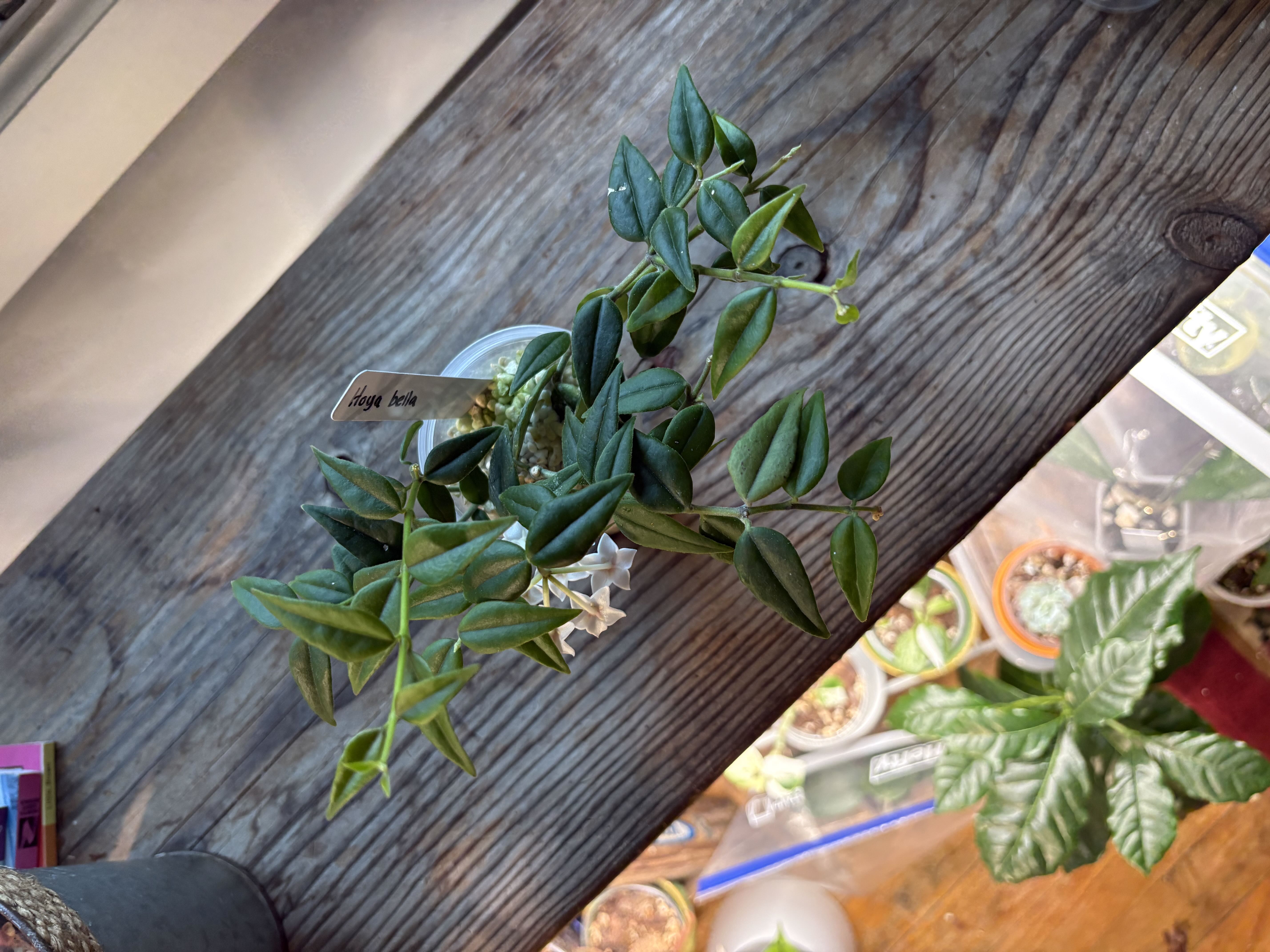 Photo from the post