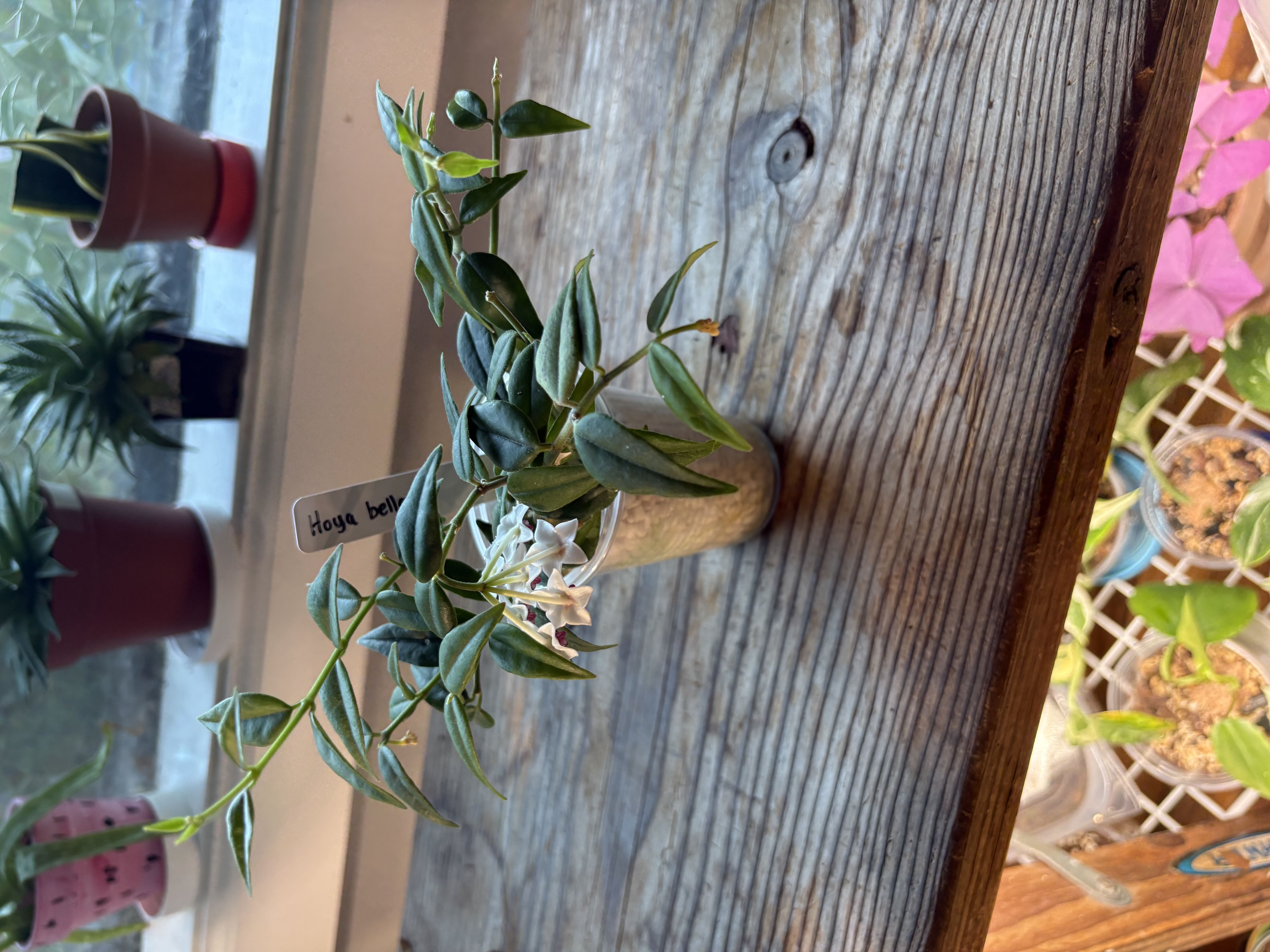 Photo from the post