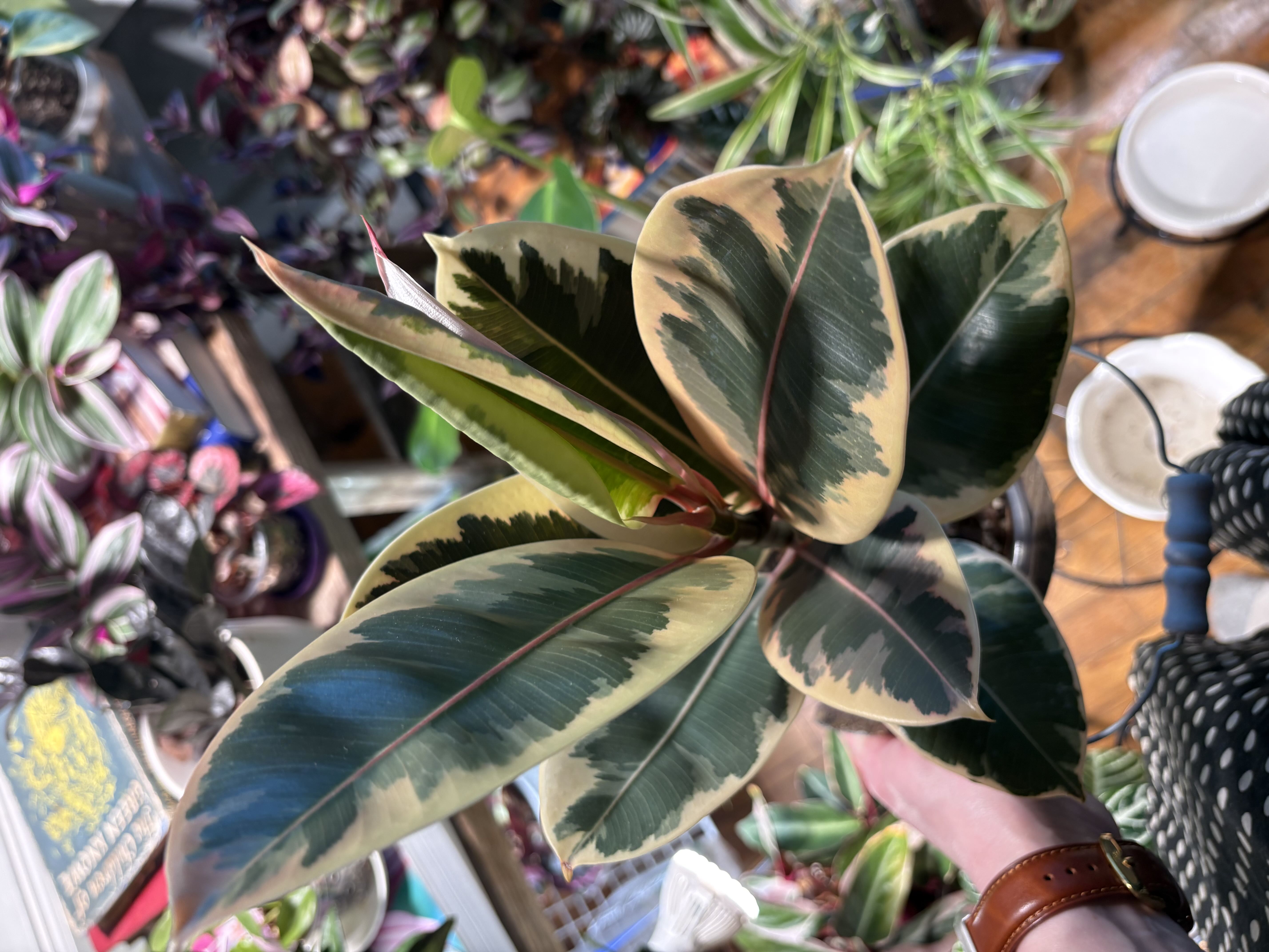 Photo from the post