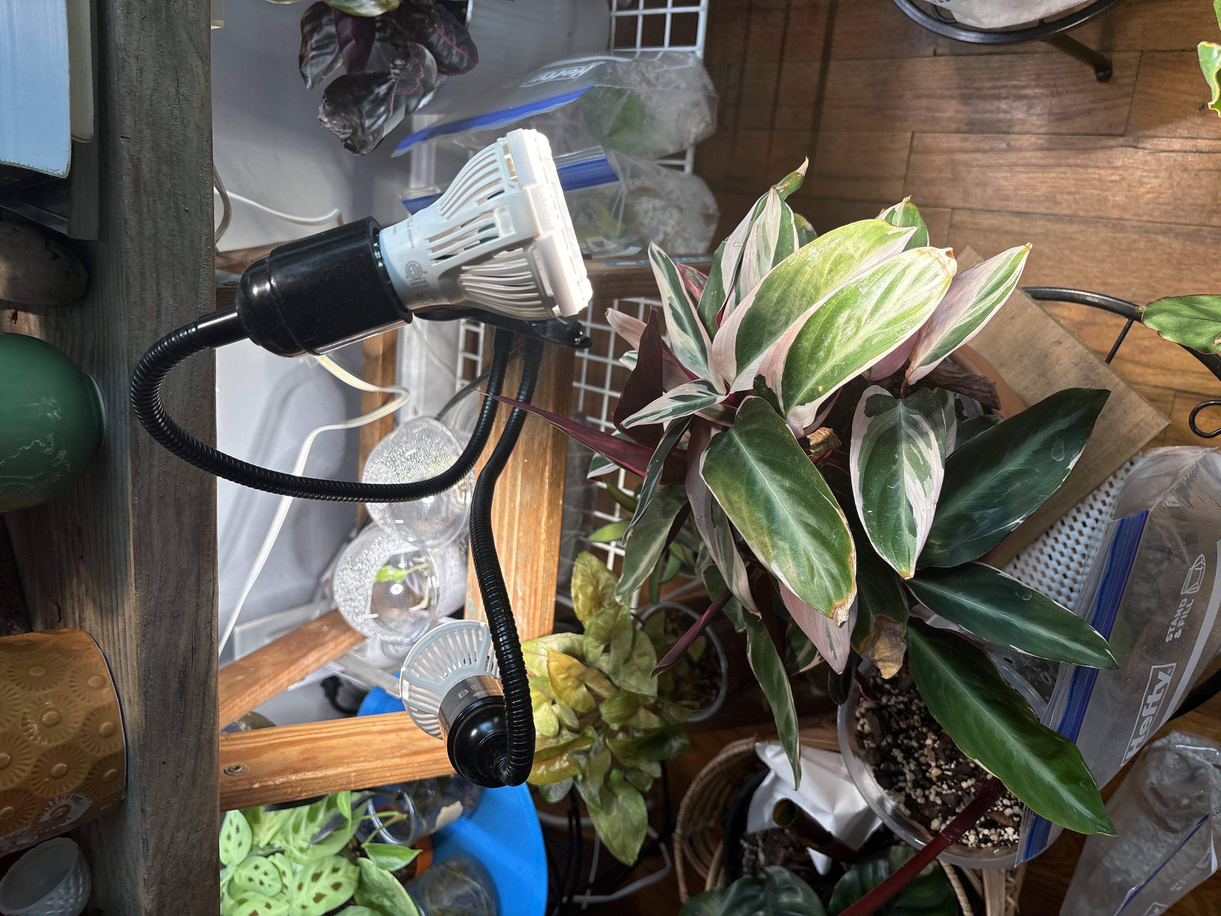 Photo from the post