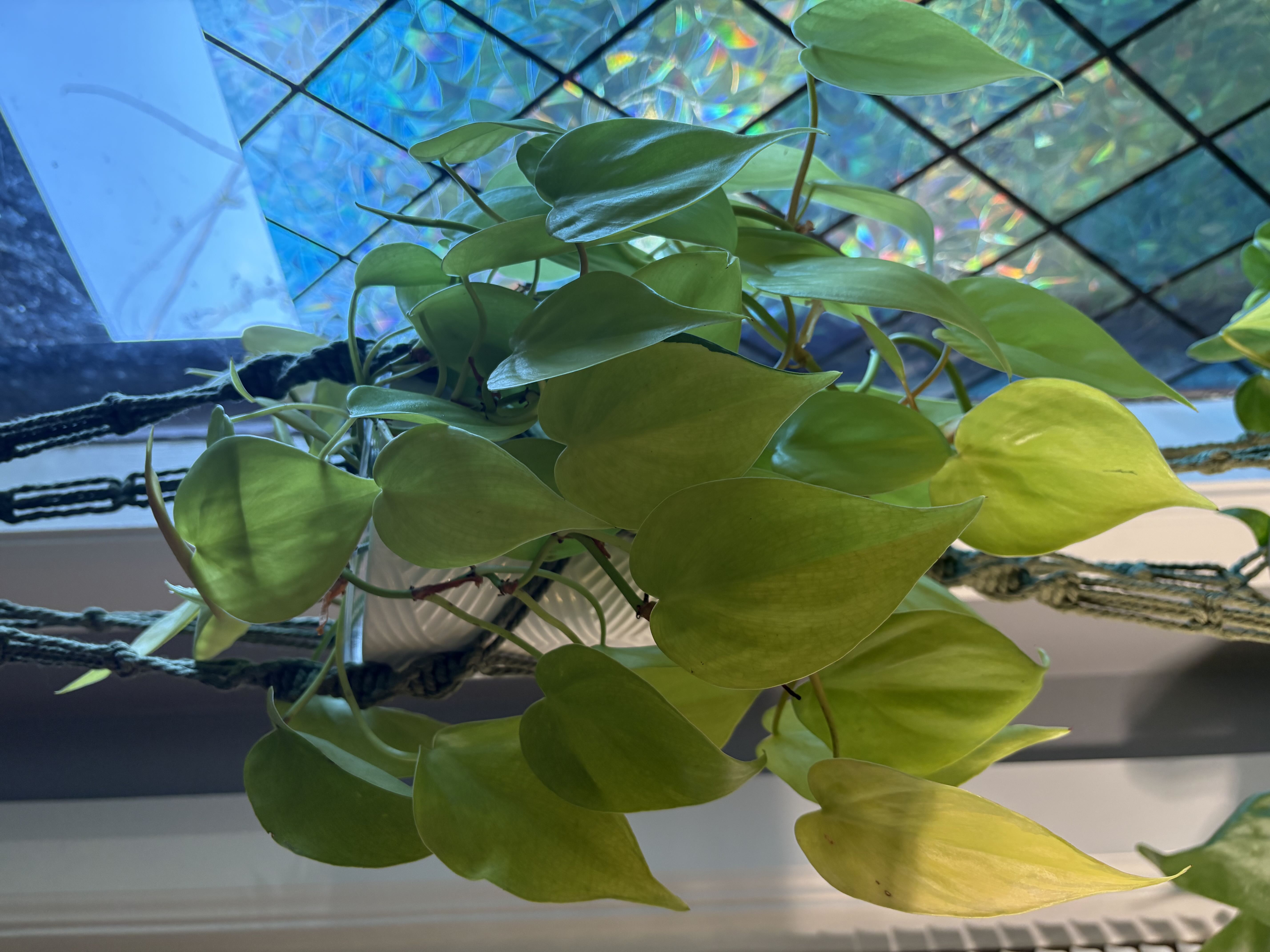 Photo from the post