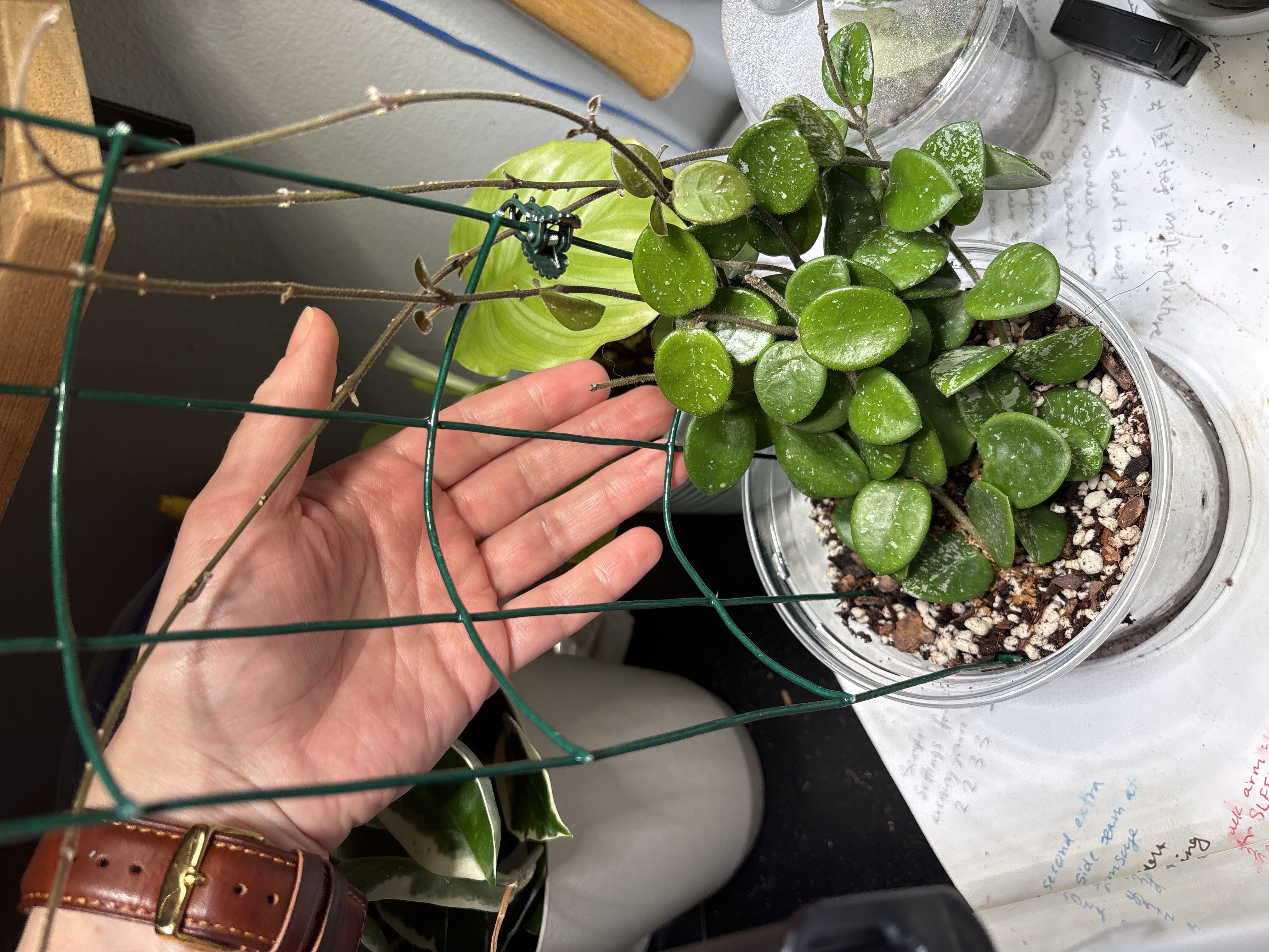 Photo from the post