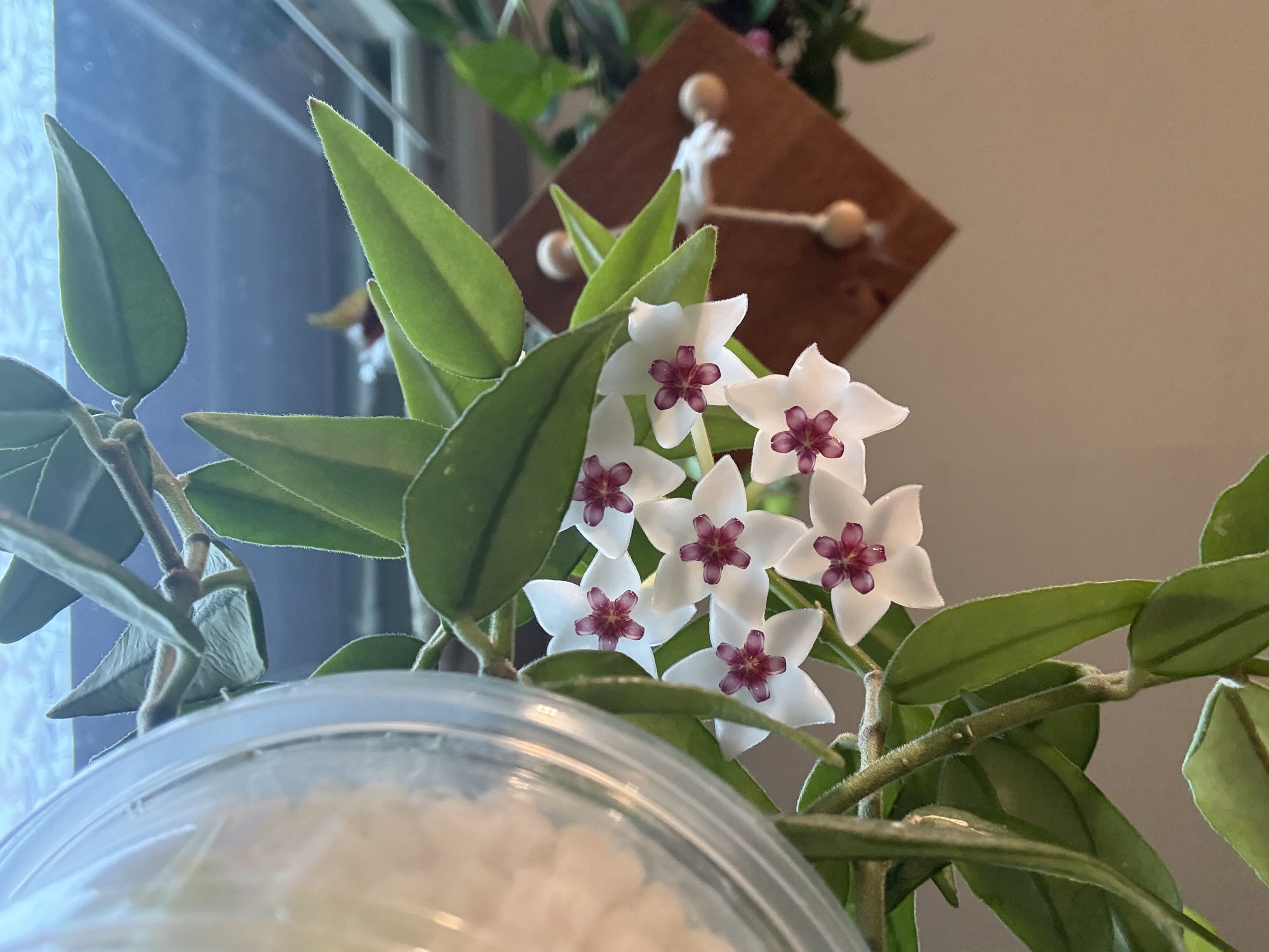 Photo from the post