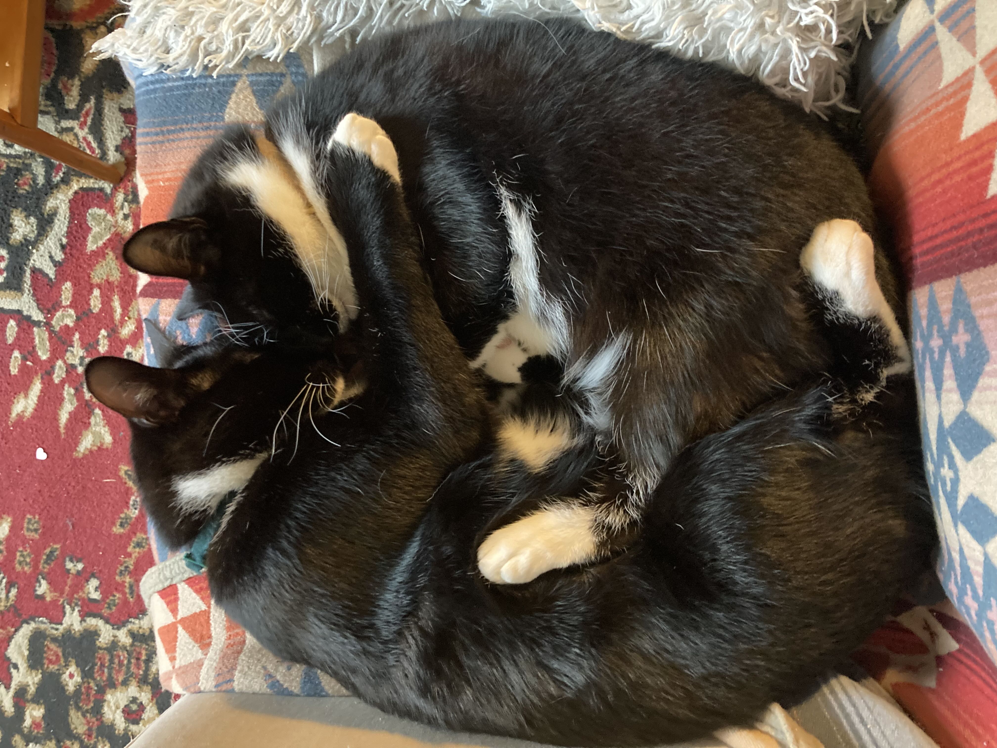 Photo from the post