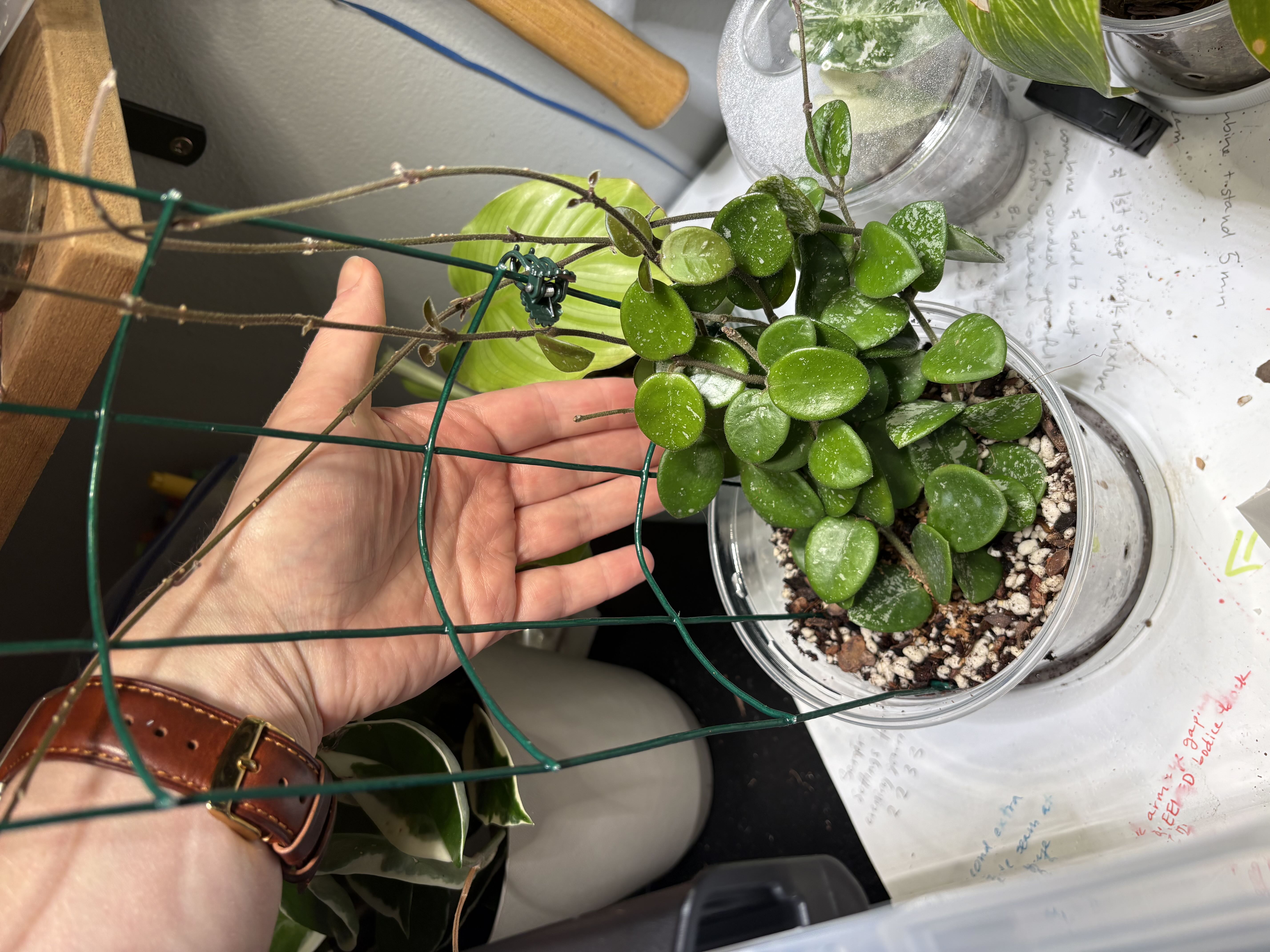 Photo from the post