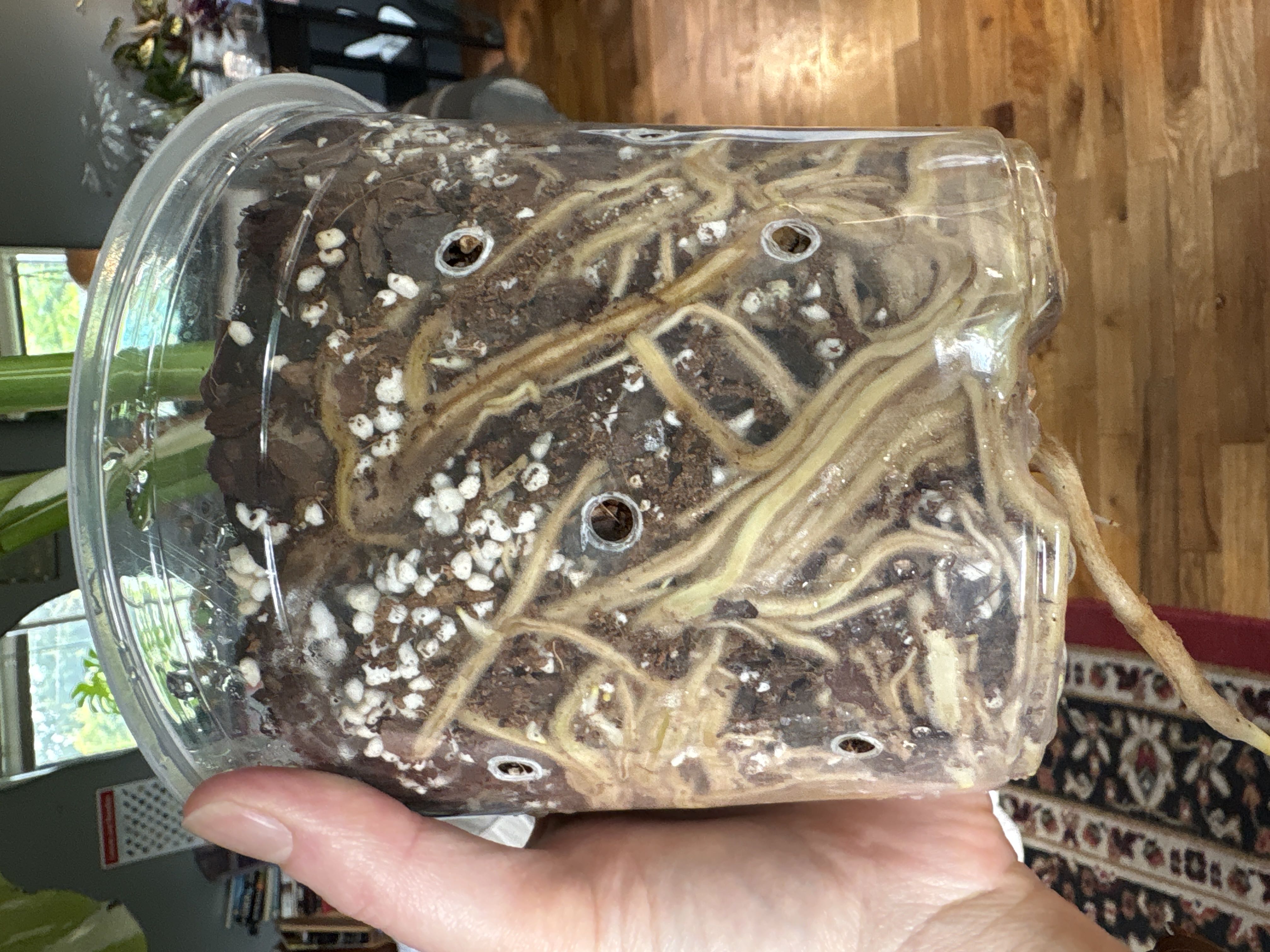Photo from the post