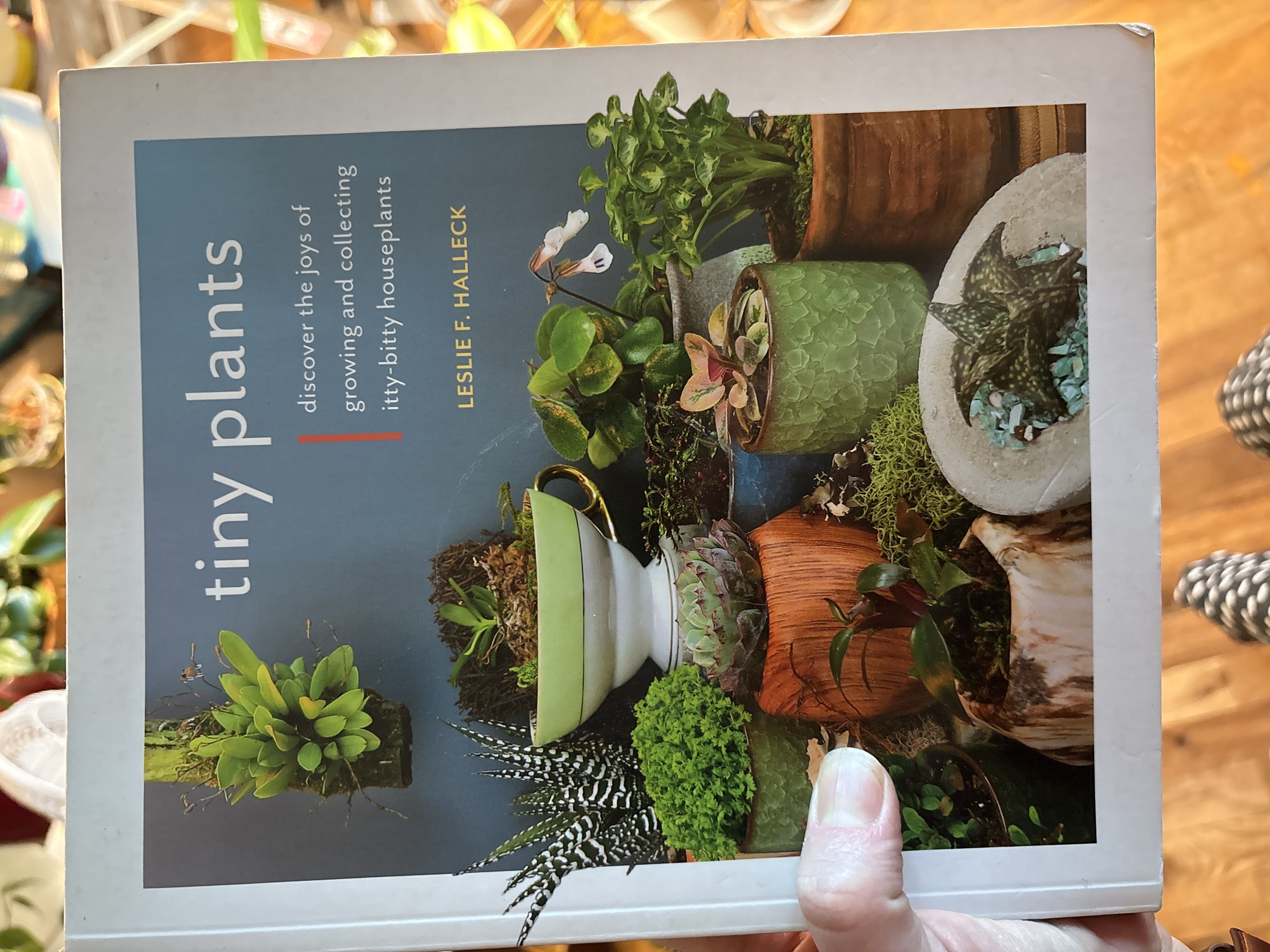Photo from the post