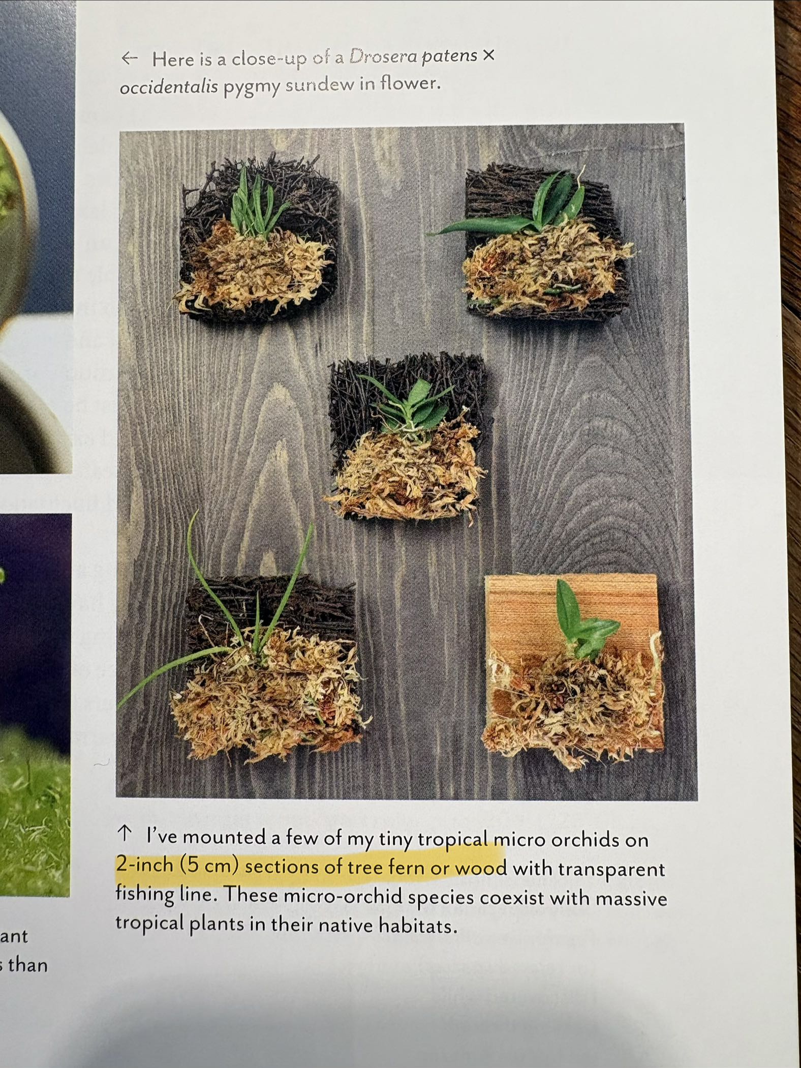 Photo from the post
