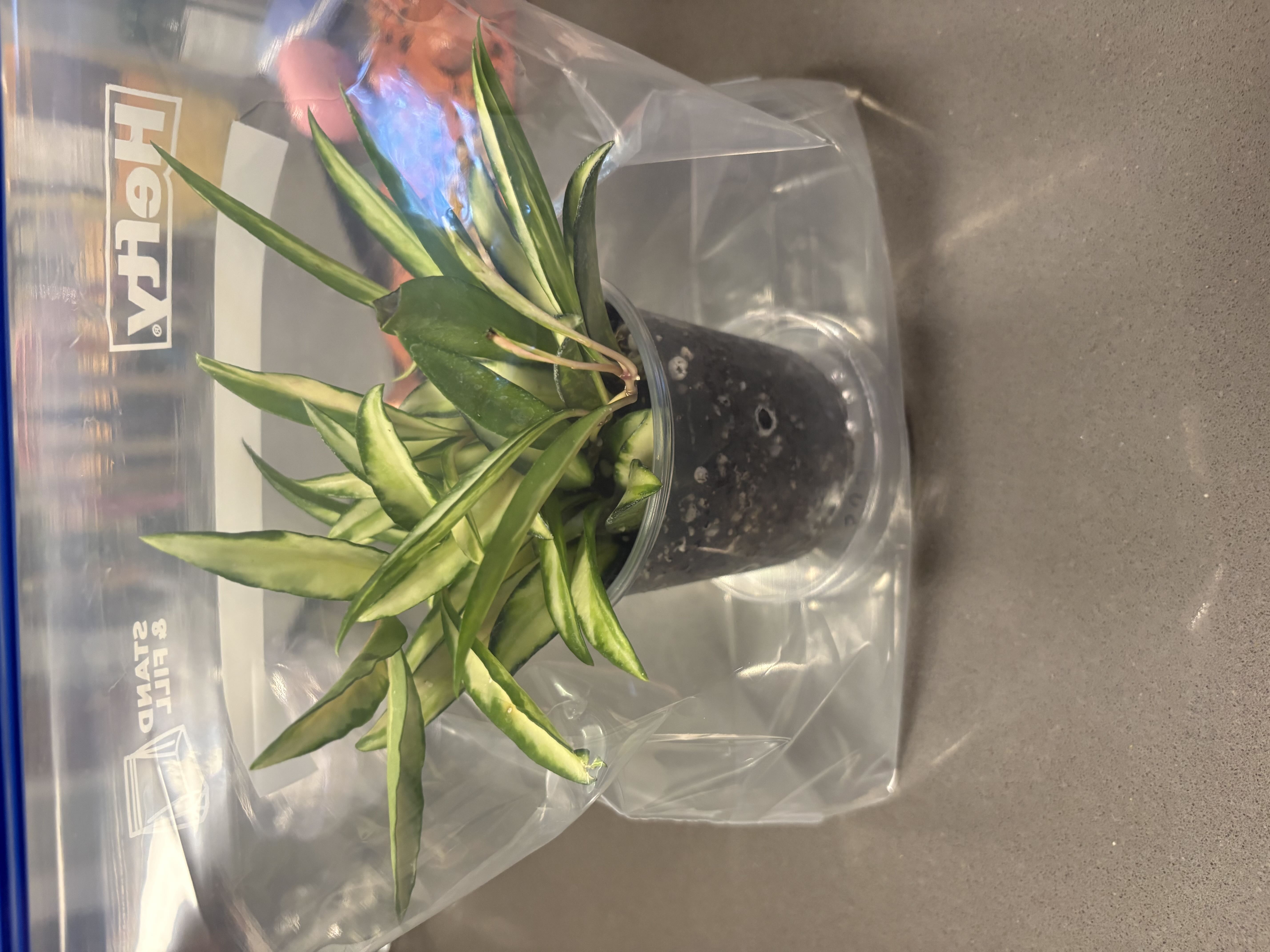 Photo from the post