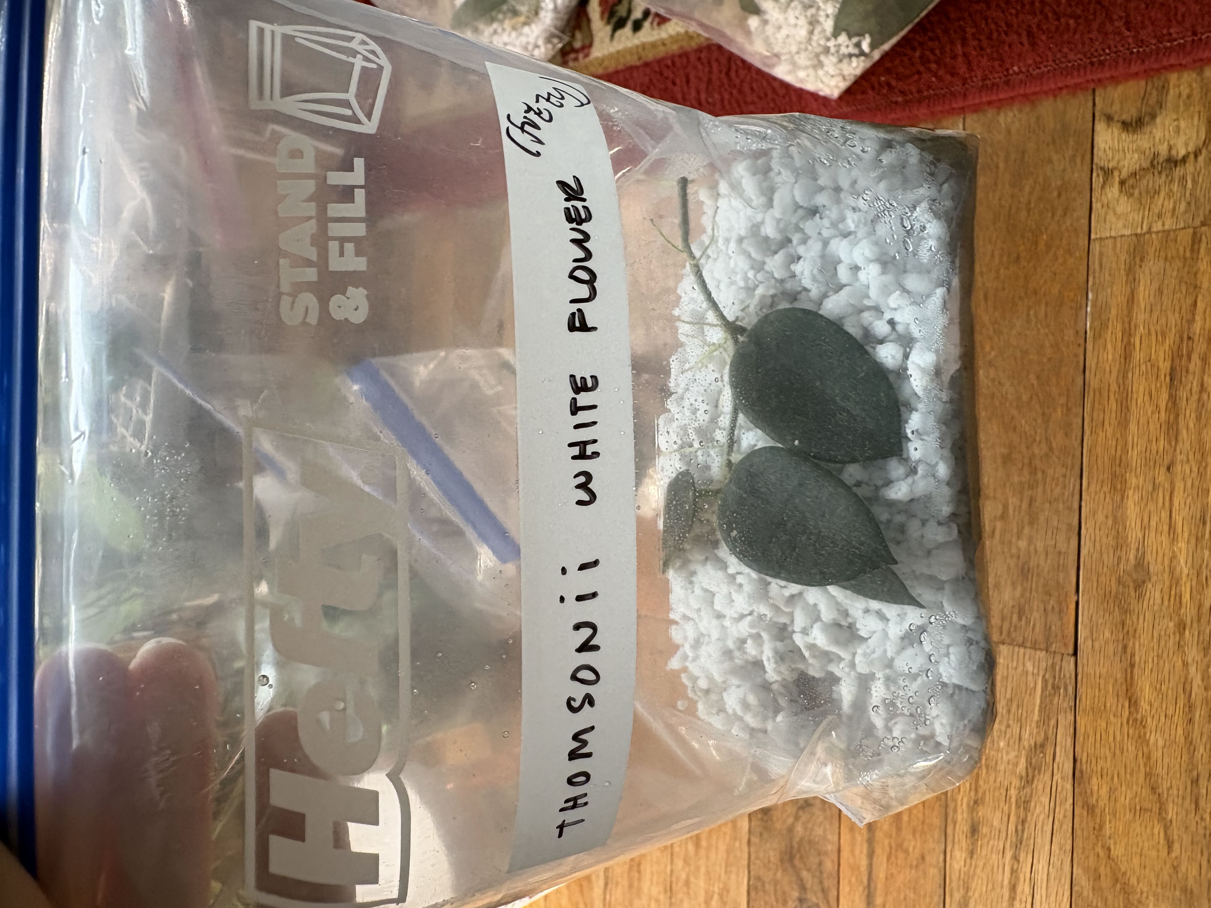 Photo from the post