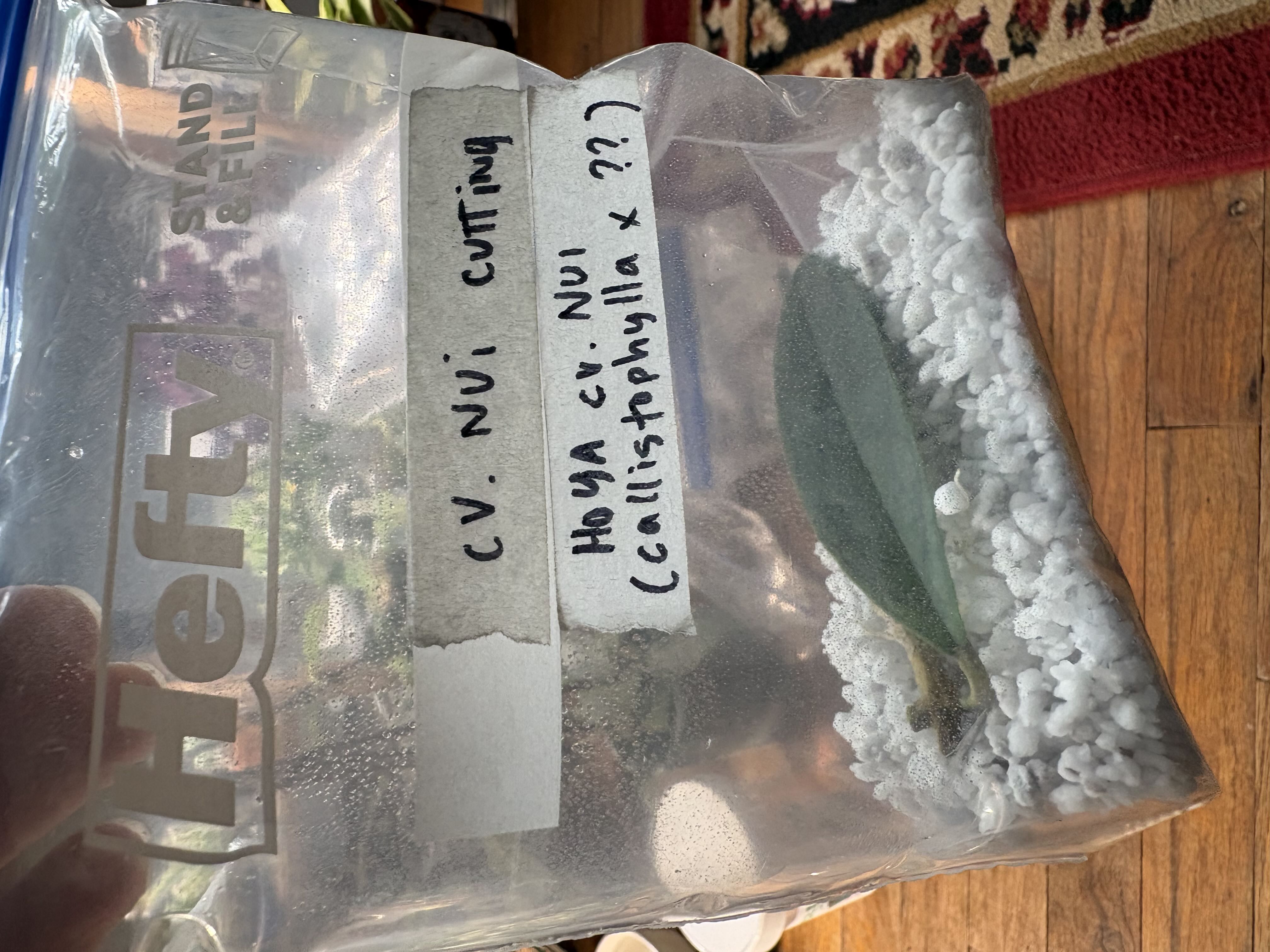 Photo from the post