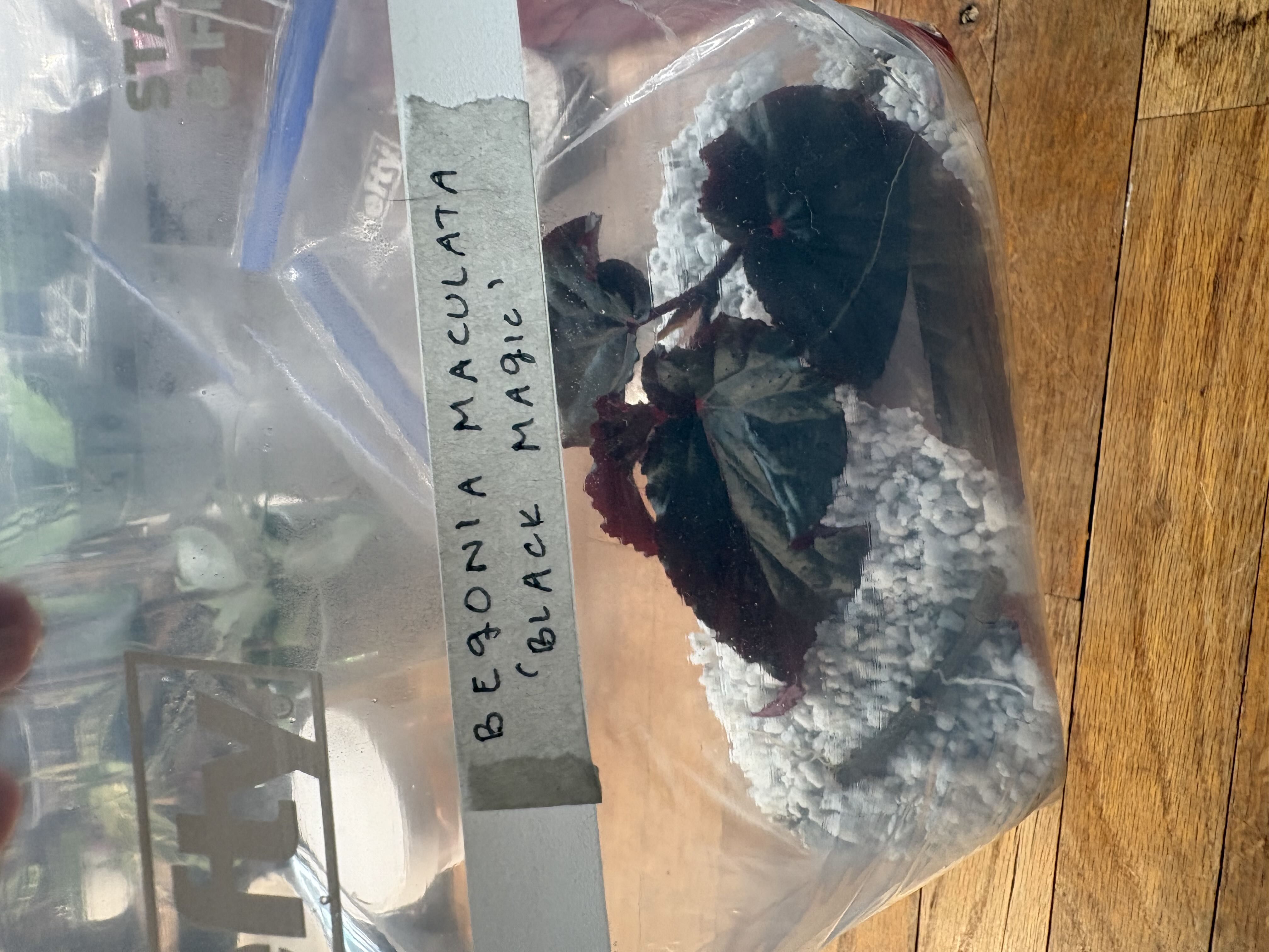 Photo from the post