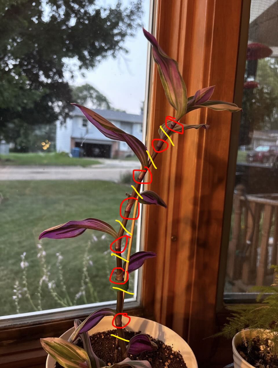 Photo from the post