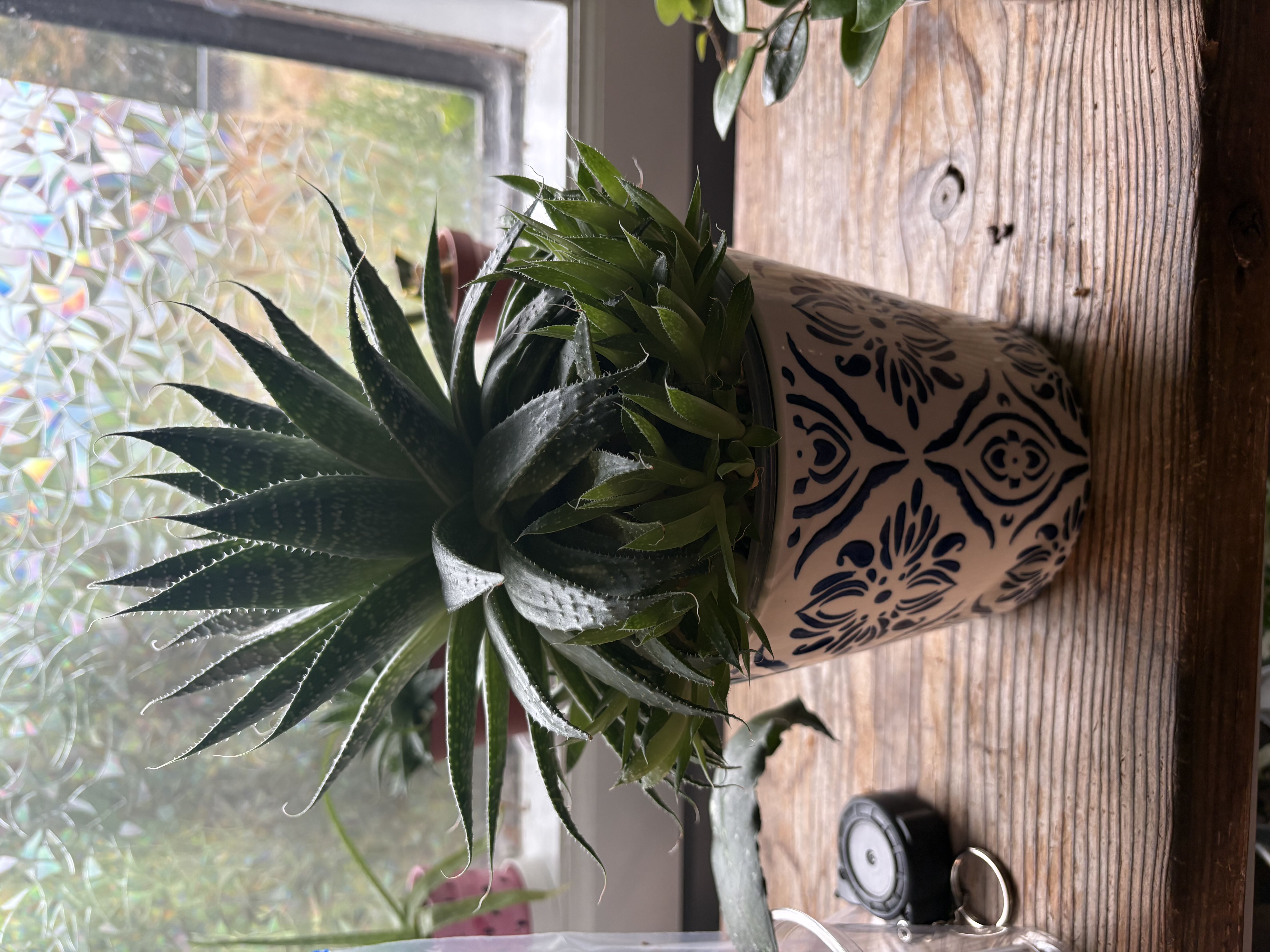 Photo from the post