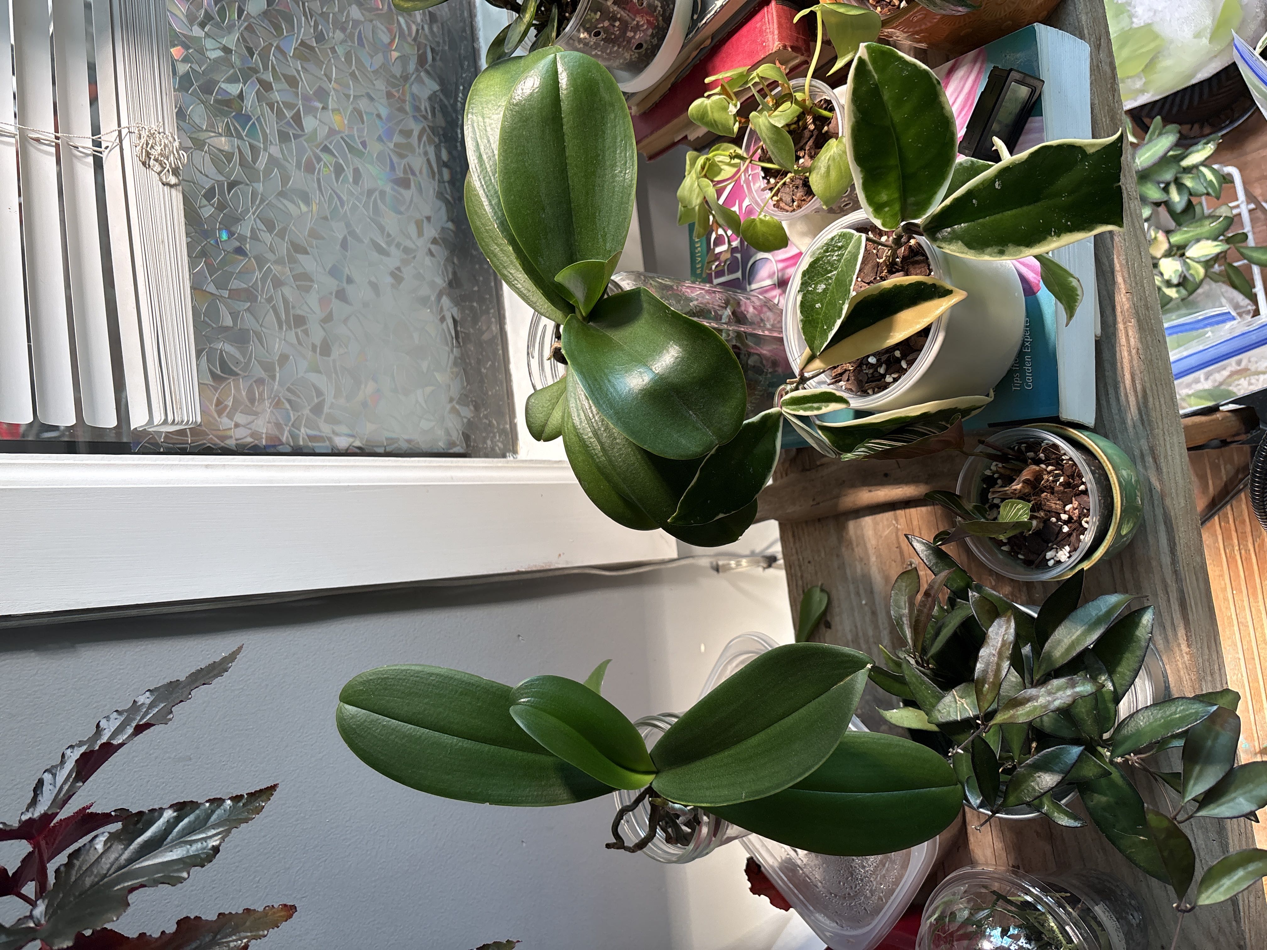 Photo from the post