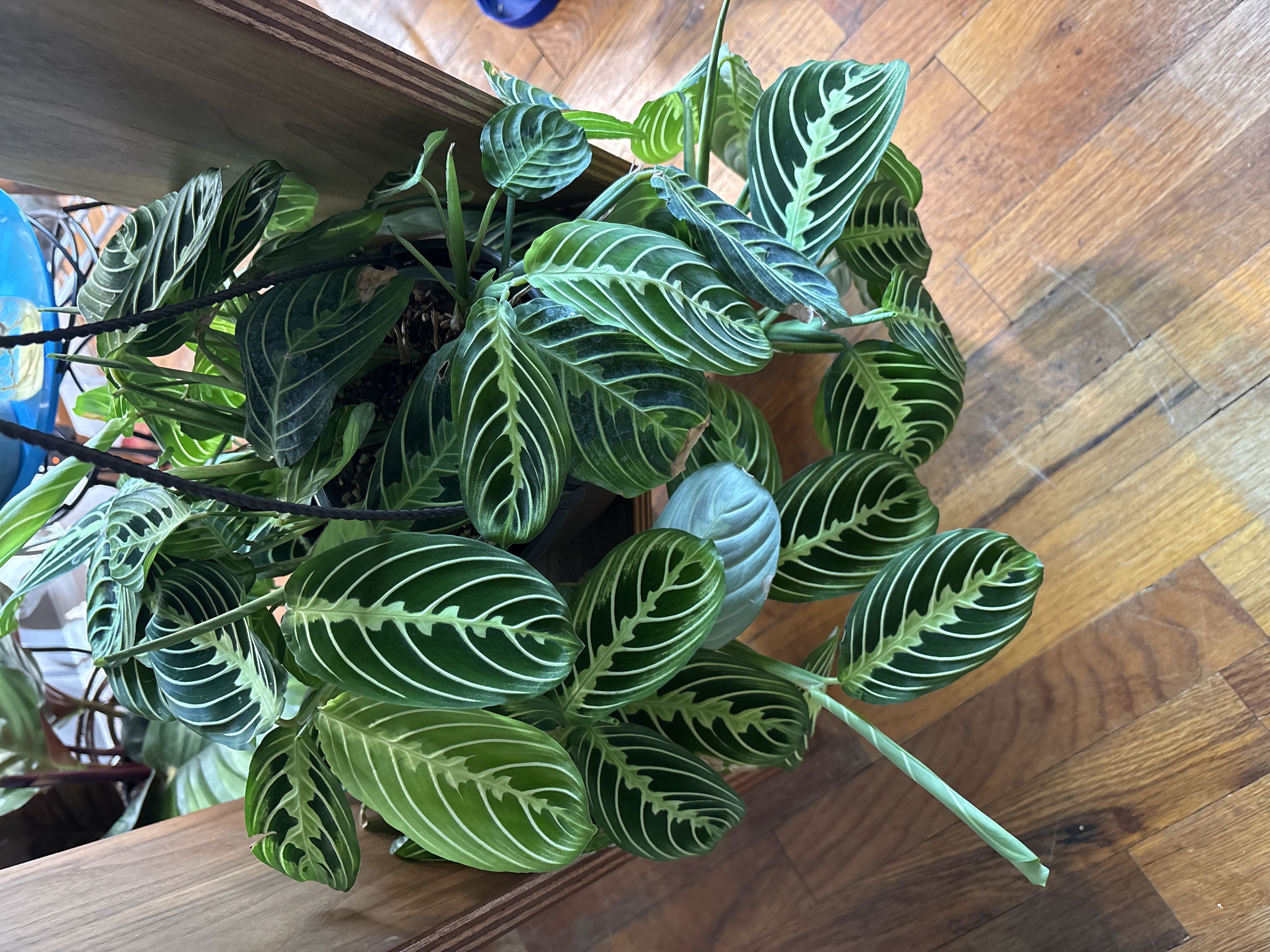 Photo from the post