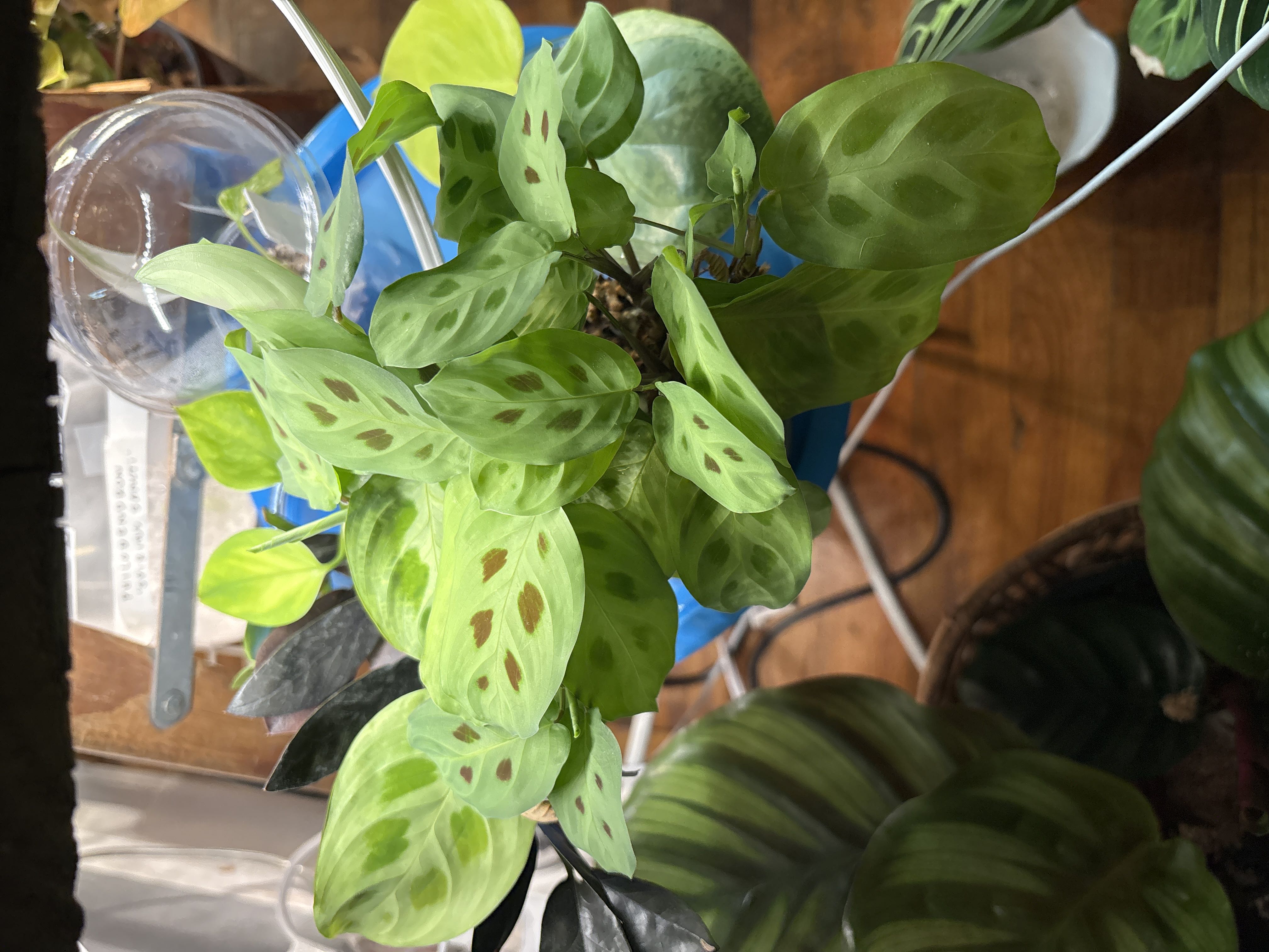 Photo from the post