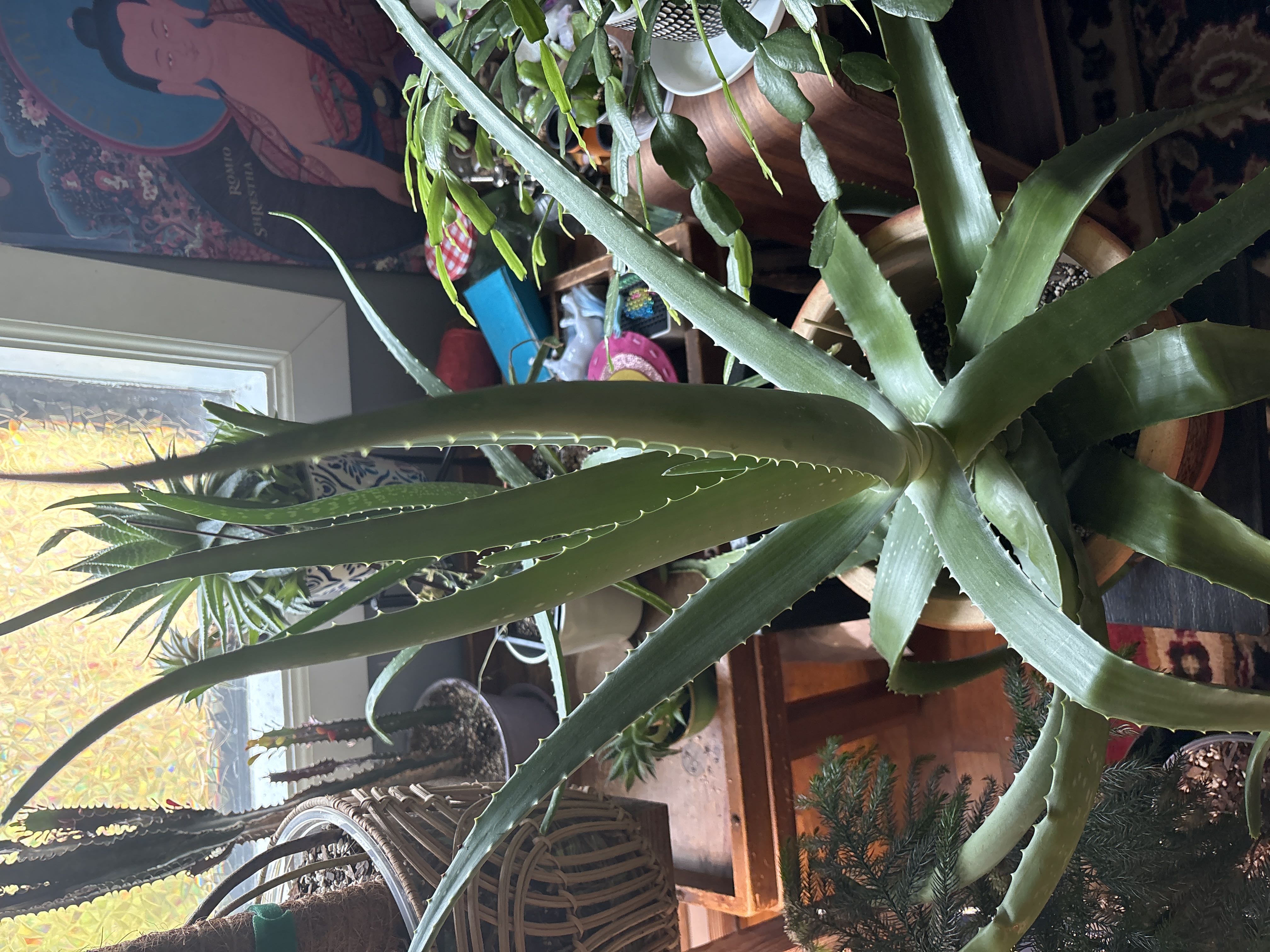 Photo from the post