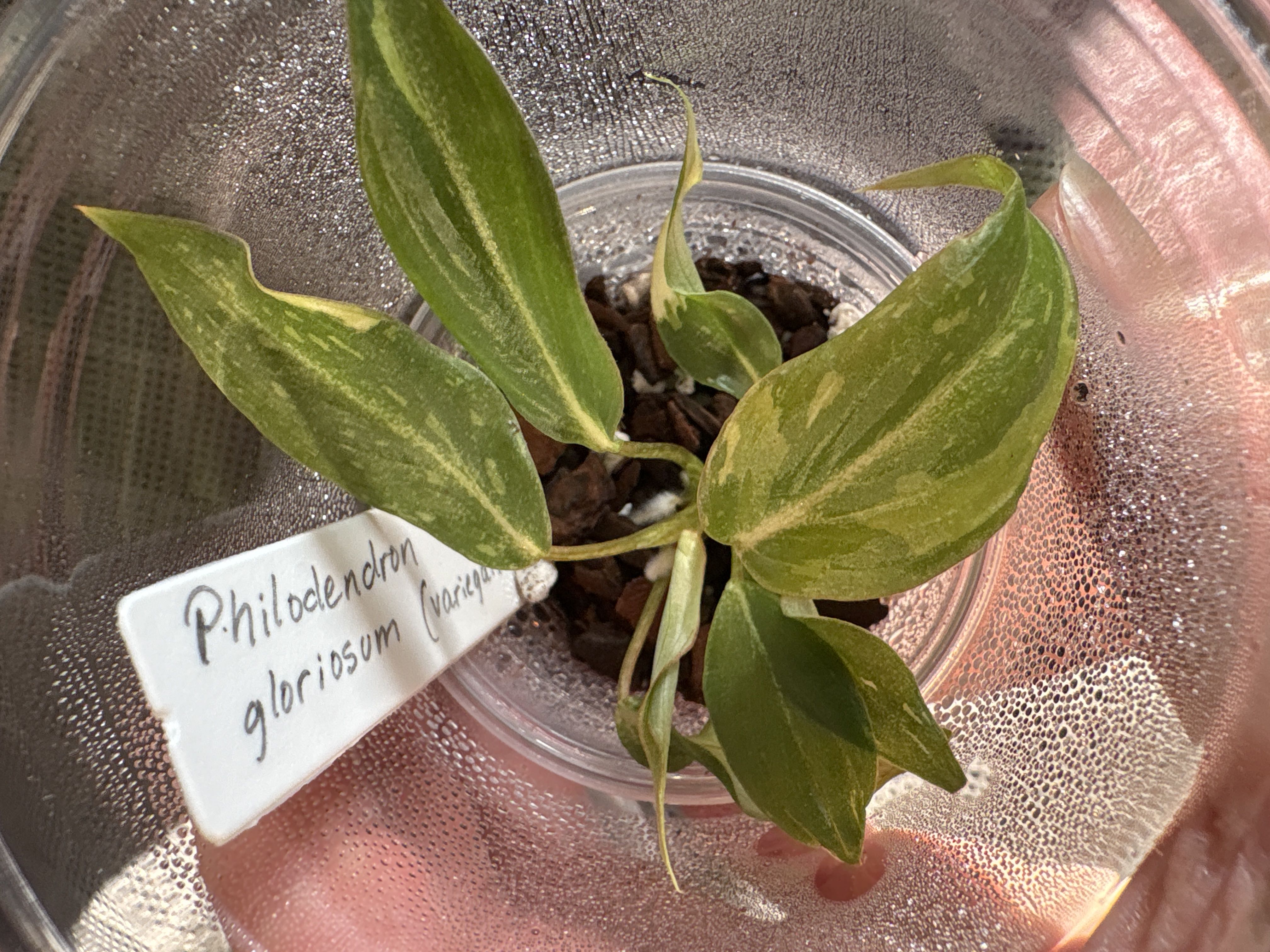Photo from the post