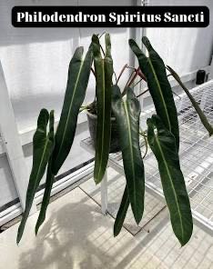 Photo from the post