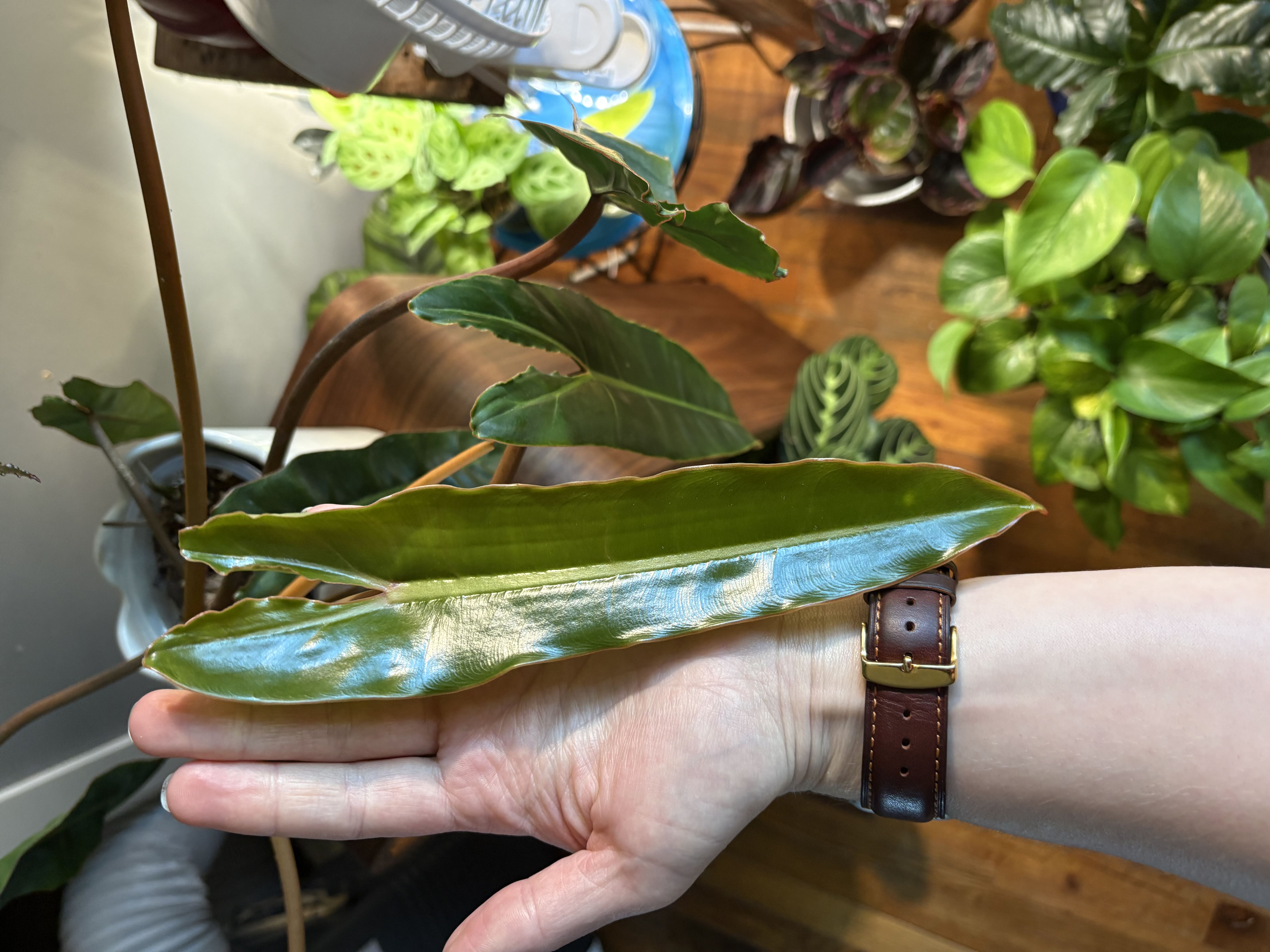 Photo from the post