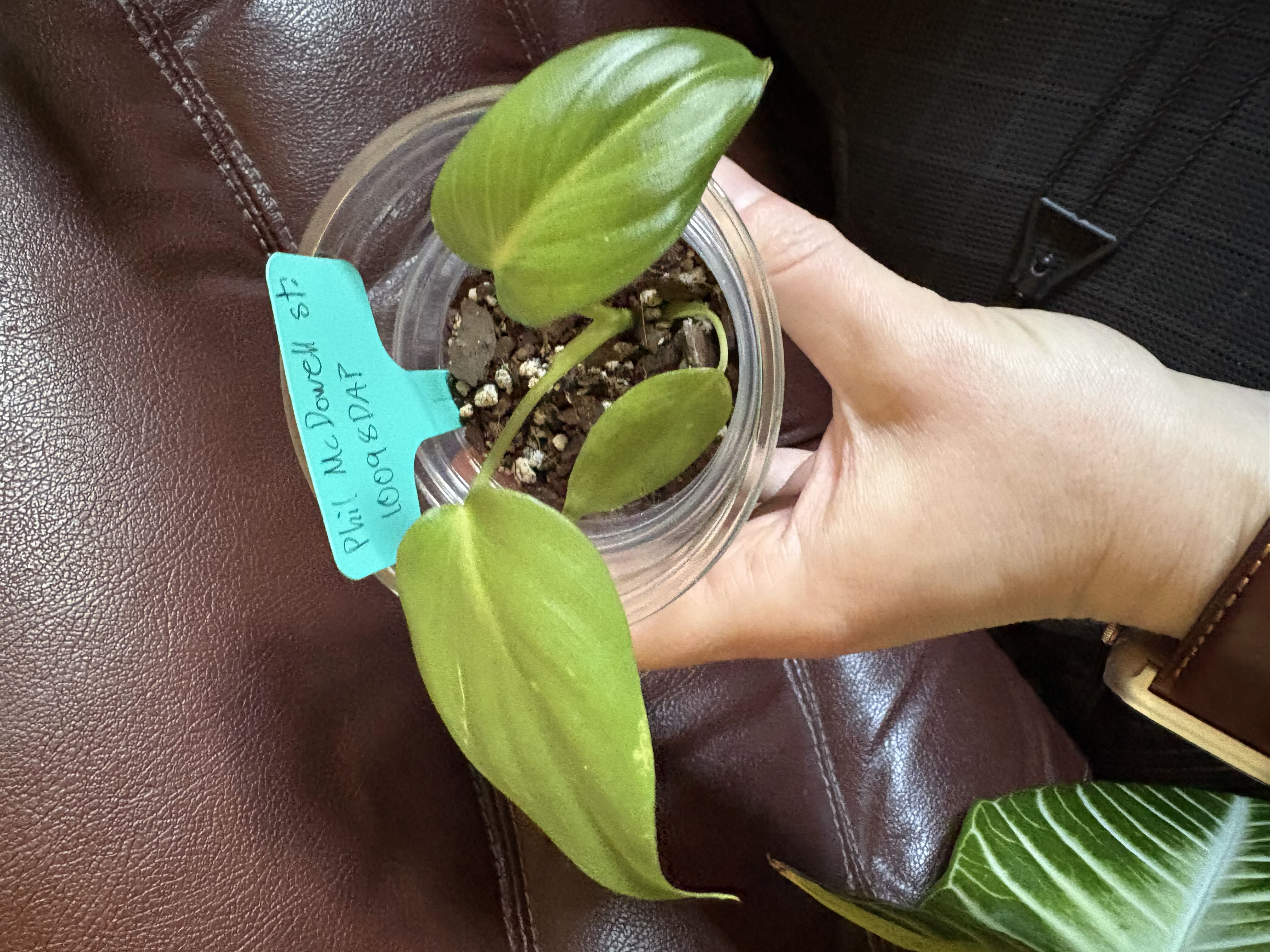 Photo from the post