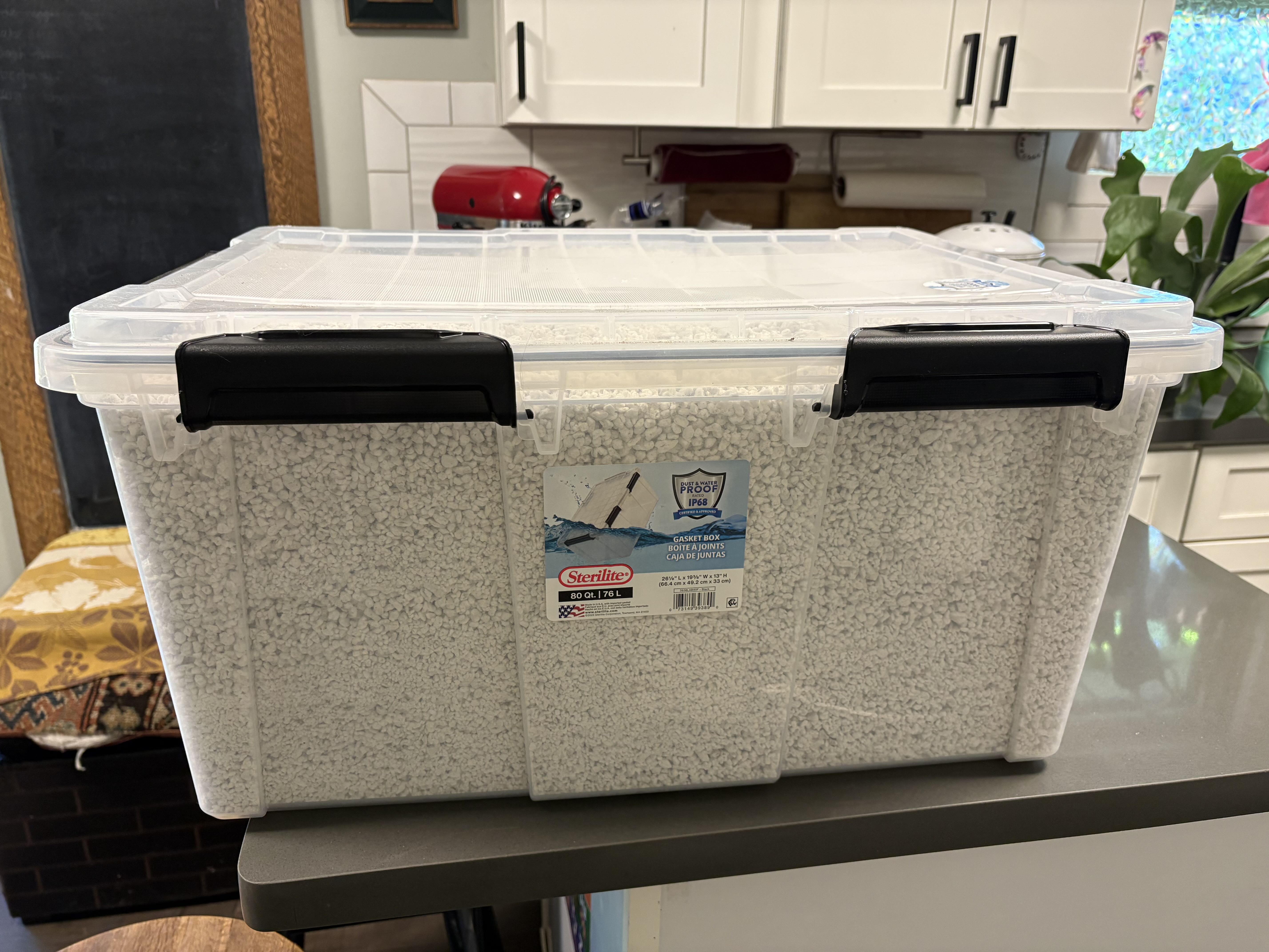 Photo from the post